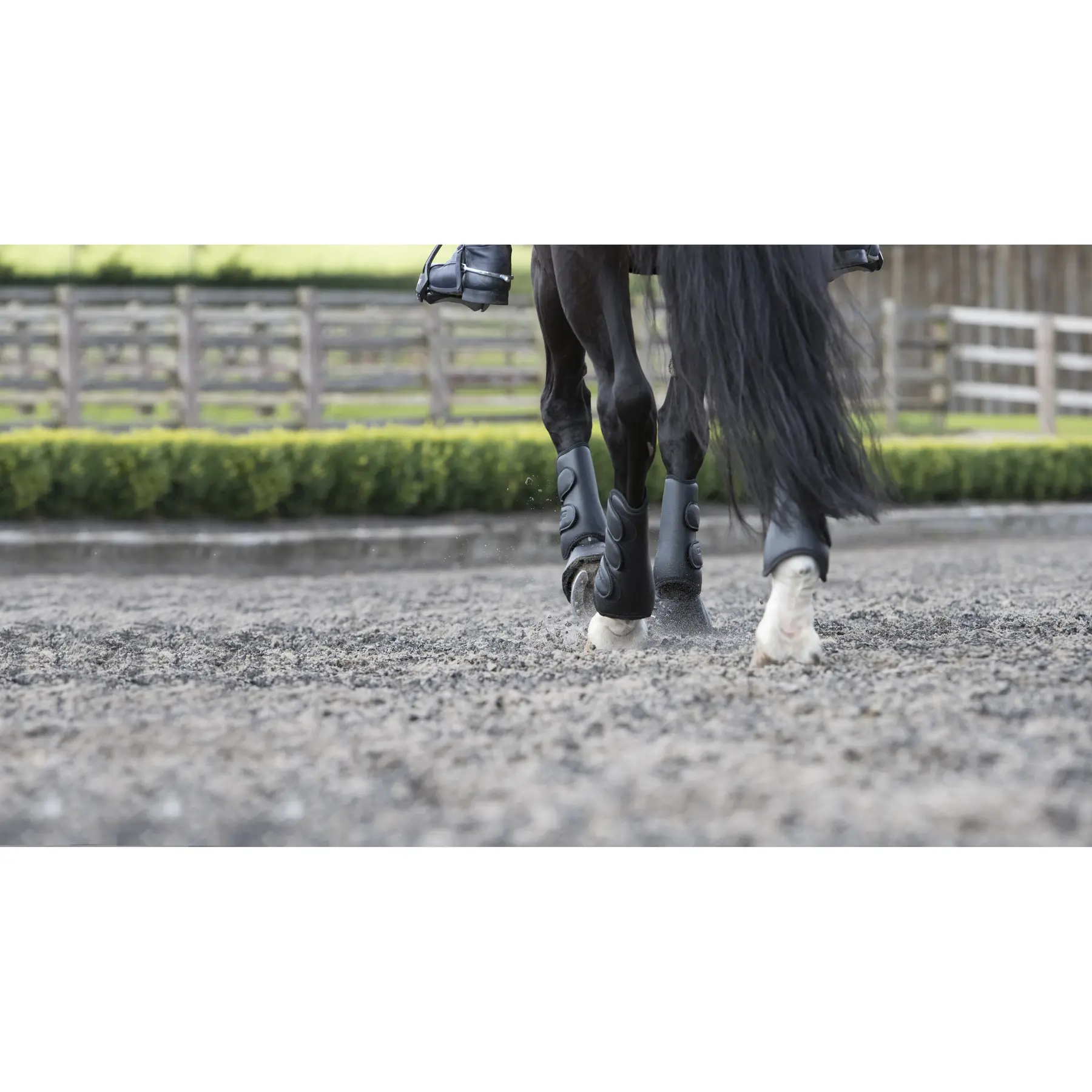 Lemieux Noir Hind Leg Gaiters For Horses
