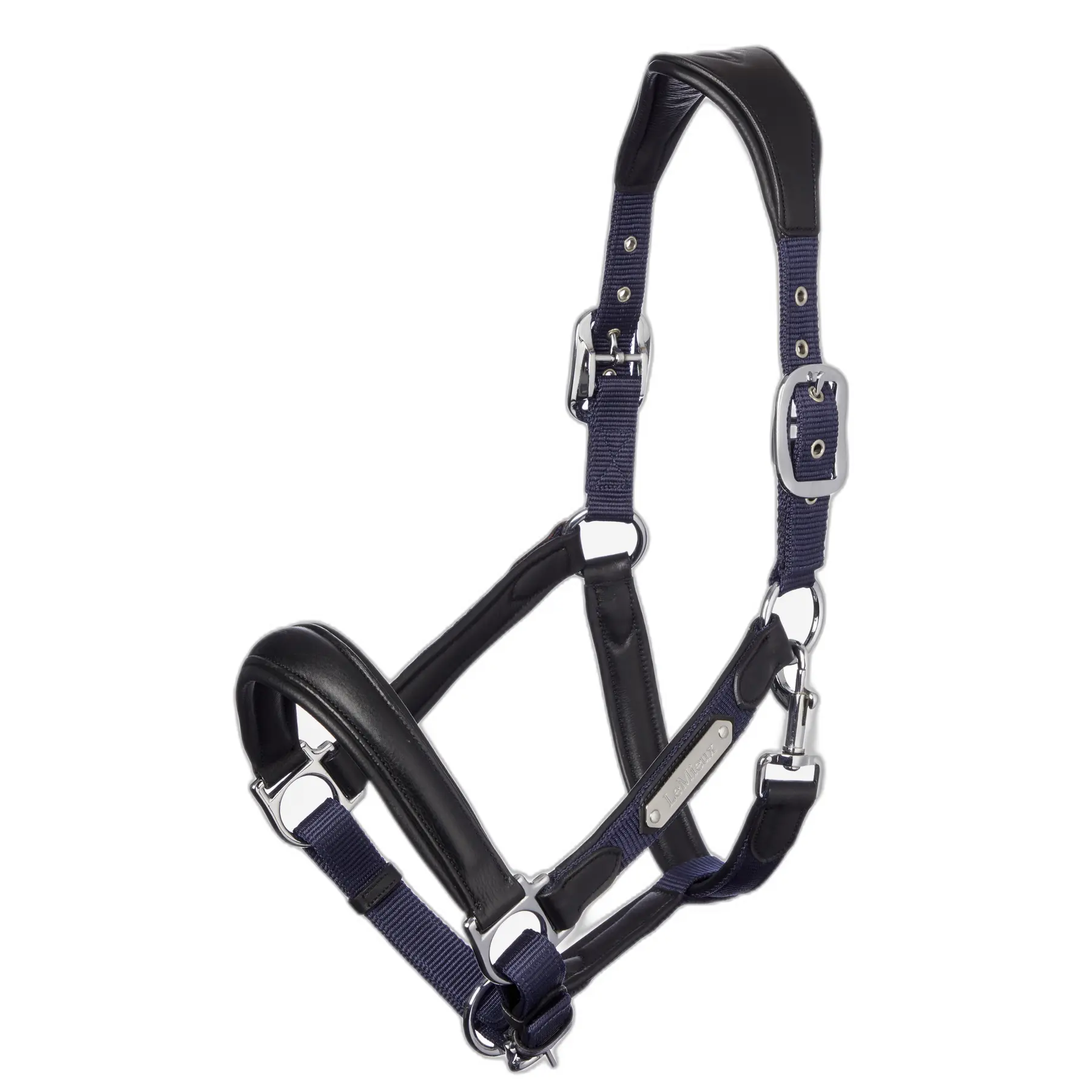 Lemieux Bleu Halter For Horse Capella
