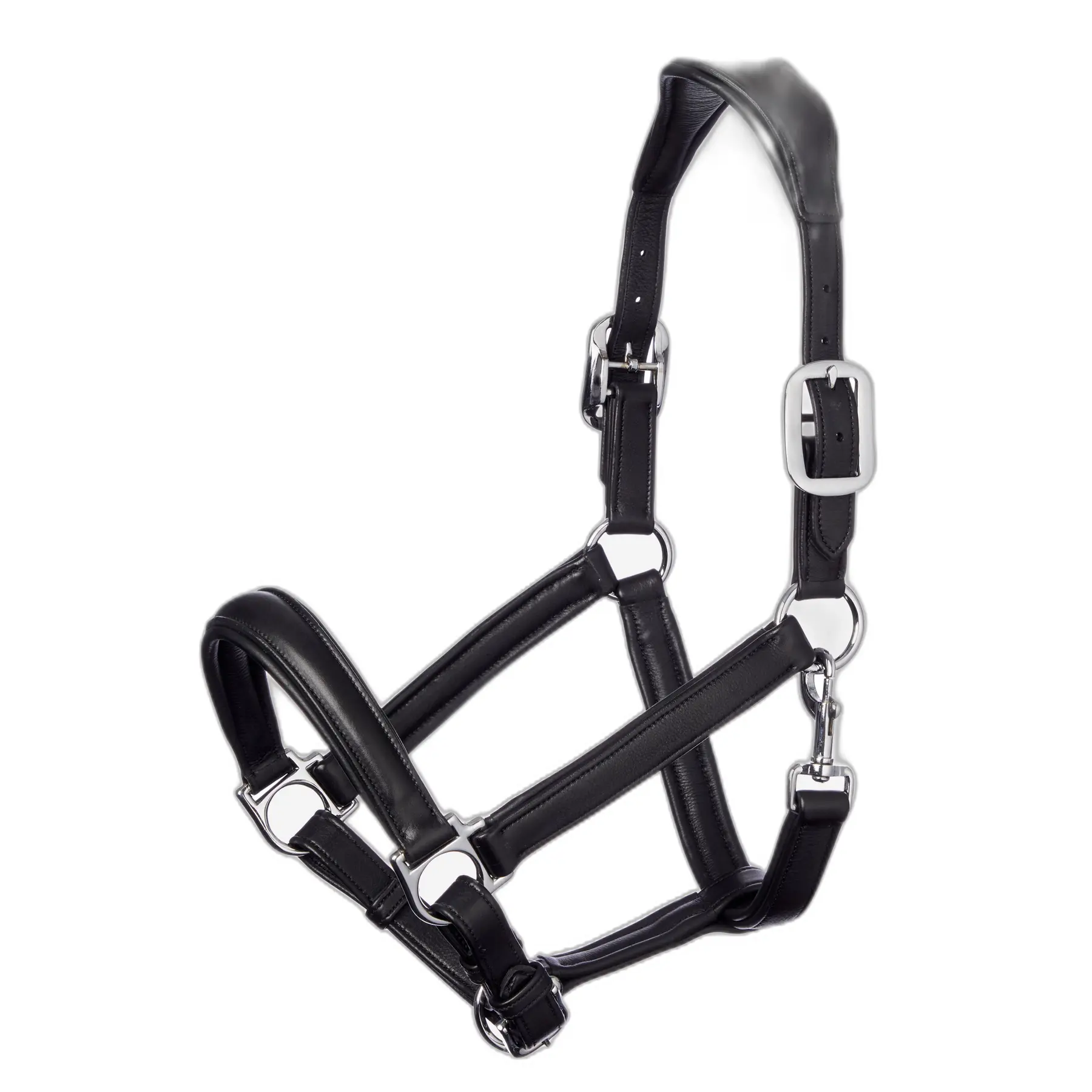 Lemieux Noir Halter For Horse Anatomic