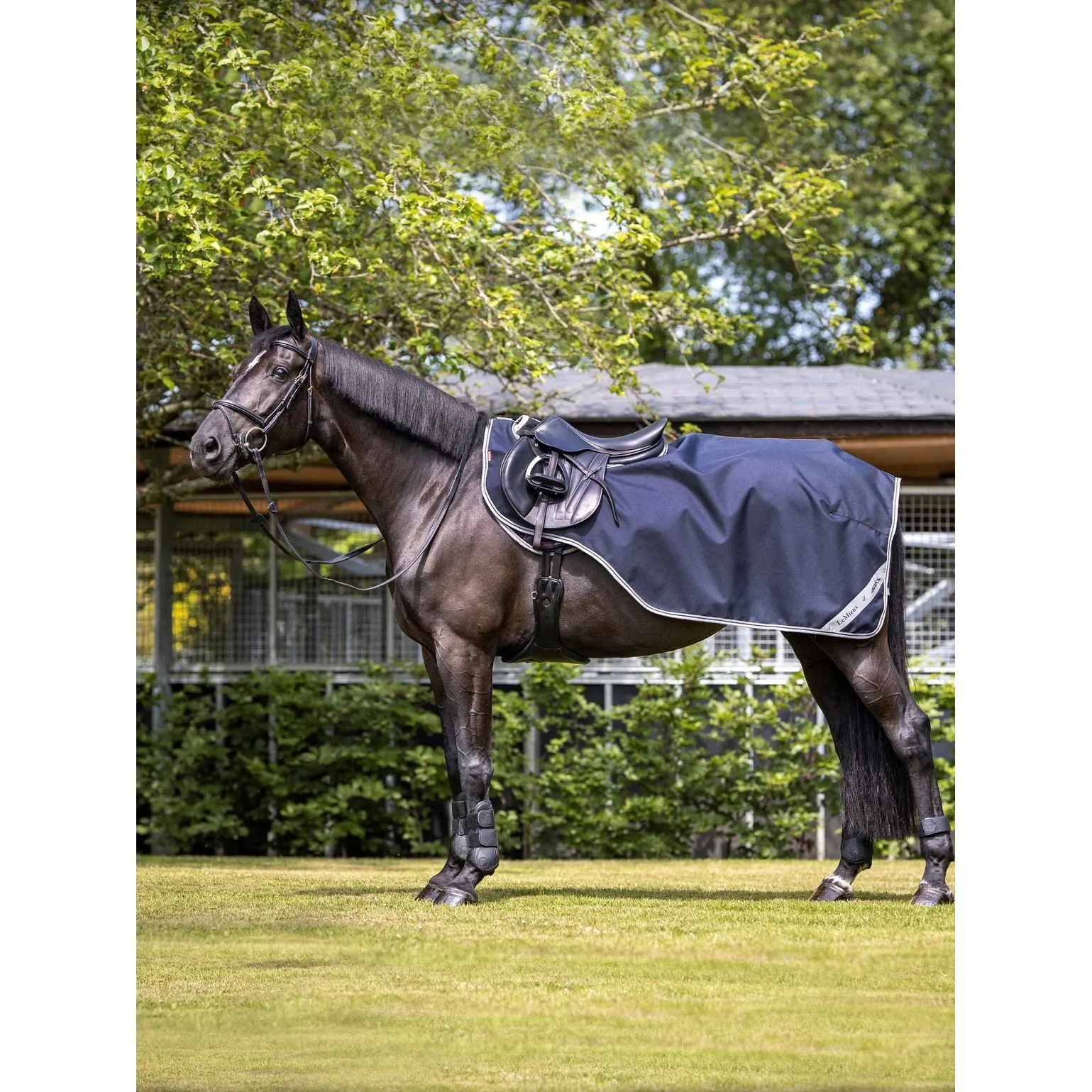 Meilleurs prix pour Couvre-reins imperméable pour cheval LeMieux Arika