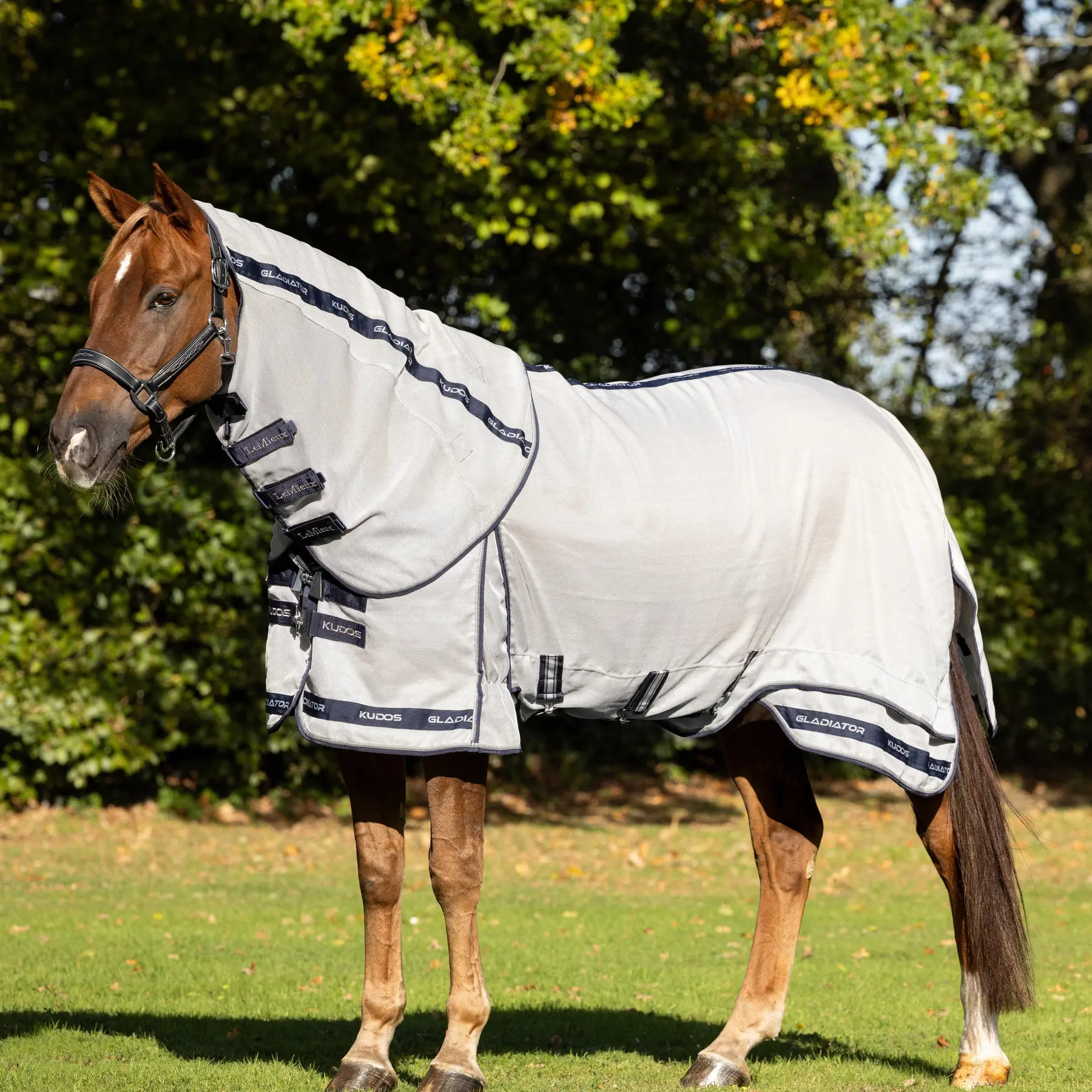 Comparer les prix de Couverture anti-mouches pour cheval LeMieux Arika Gladiato