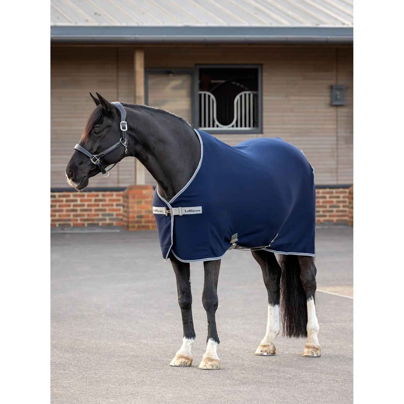 Lemieux Bleu Fleece Horse Blanket Arika