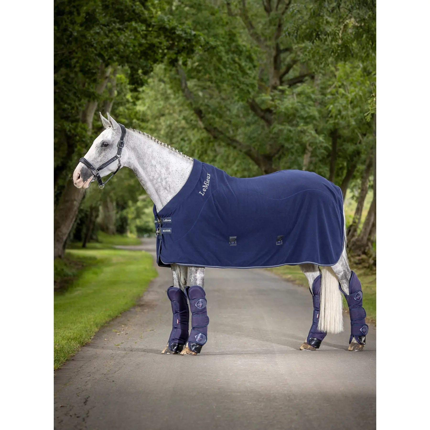 Comparer les prix de Couverture polaire pour cheval refroidissantes LeMieux 5'6"