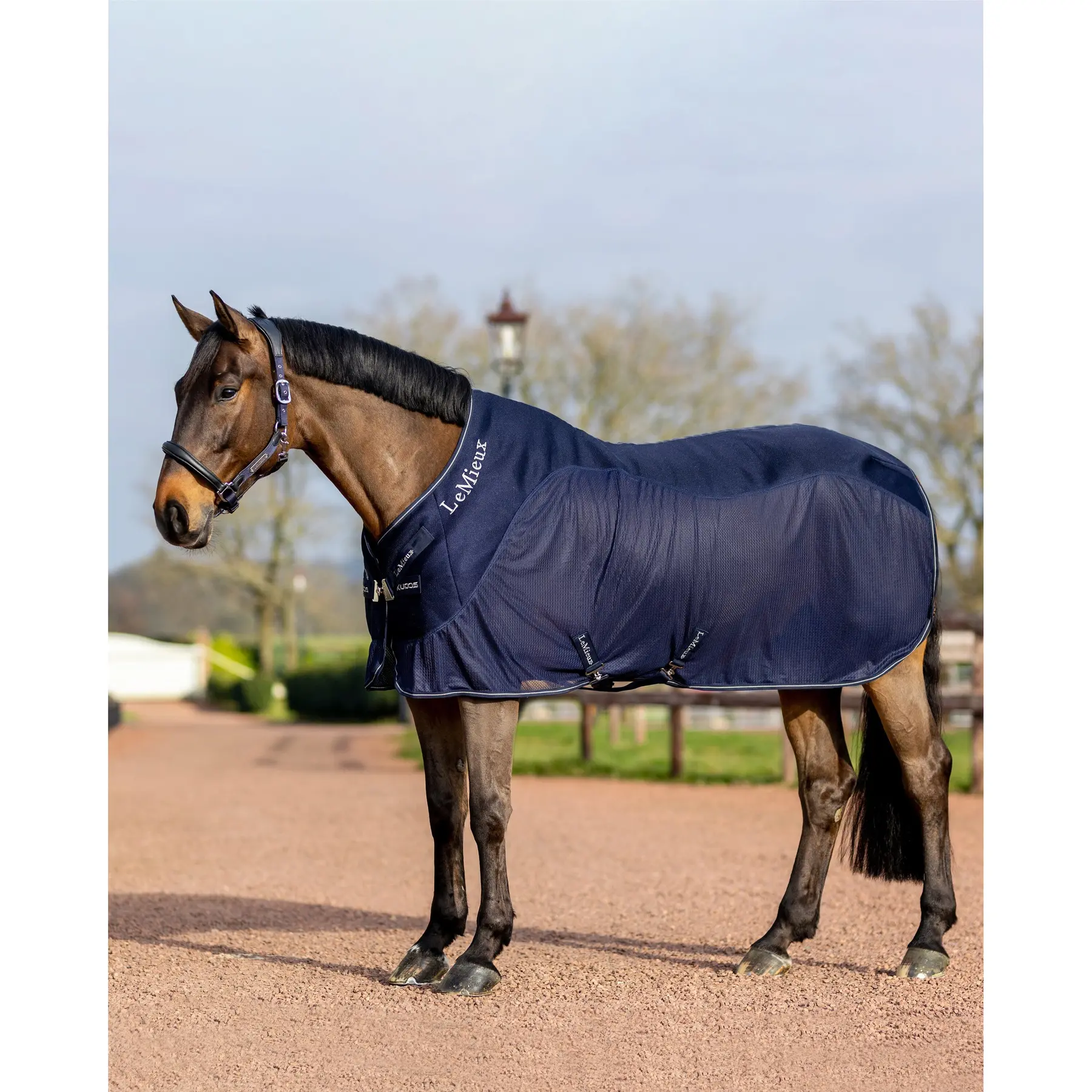 Meilleurs prix pour Chemise séchante pour cheval maille LeMieux