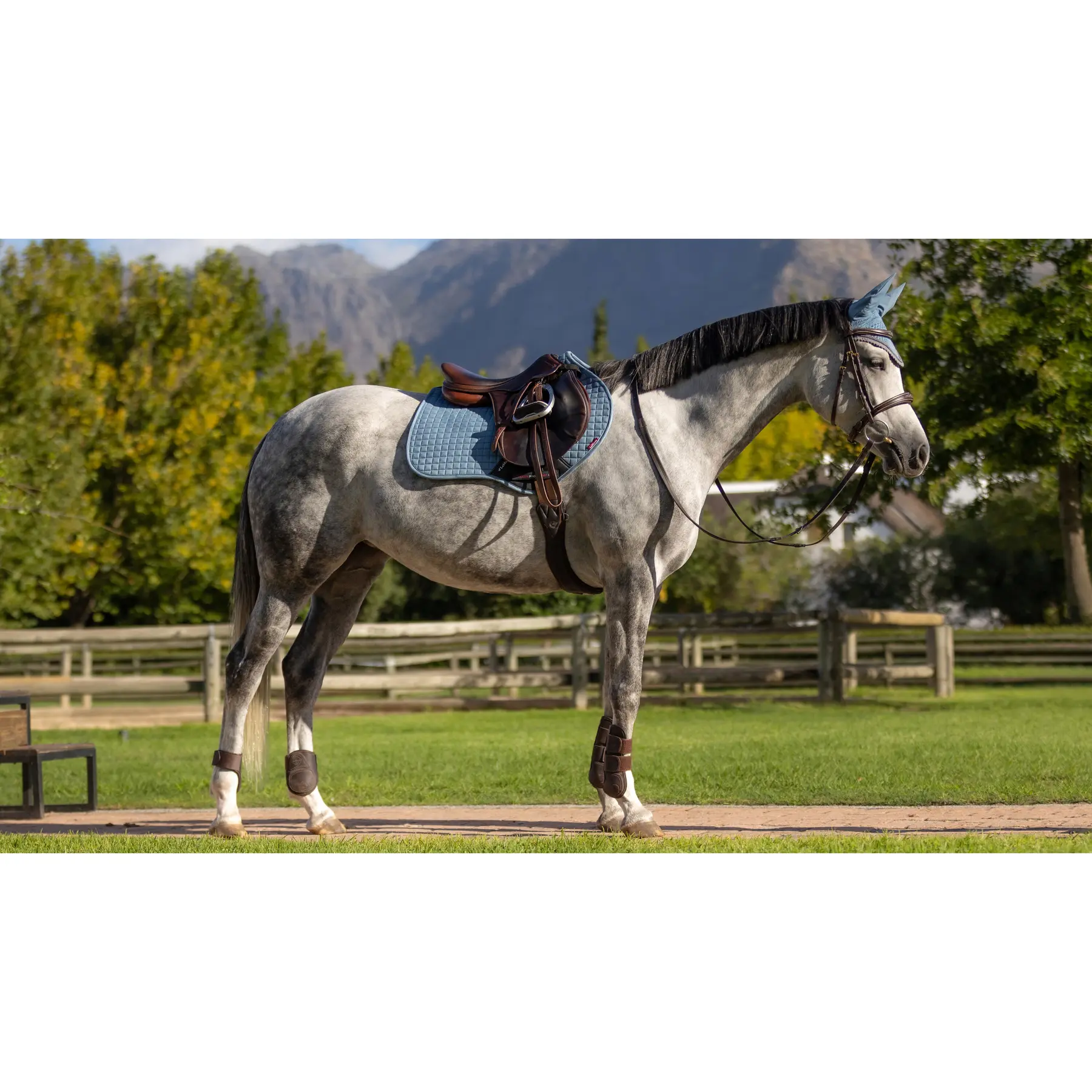 Lemieux Bleu Suede Horse Saddle Pad Close Contact