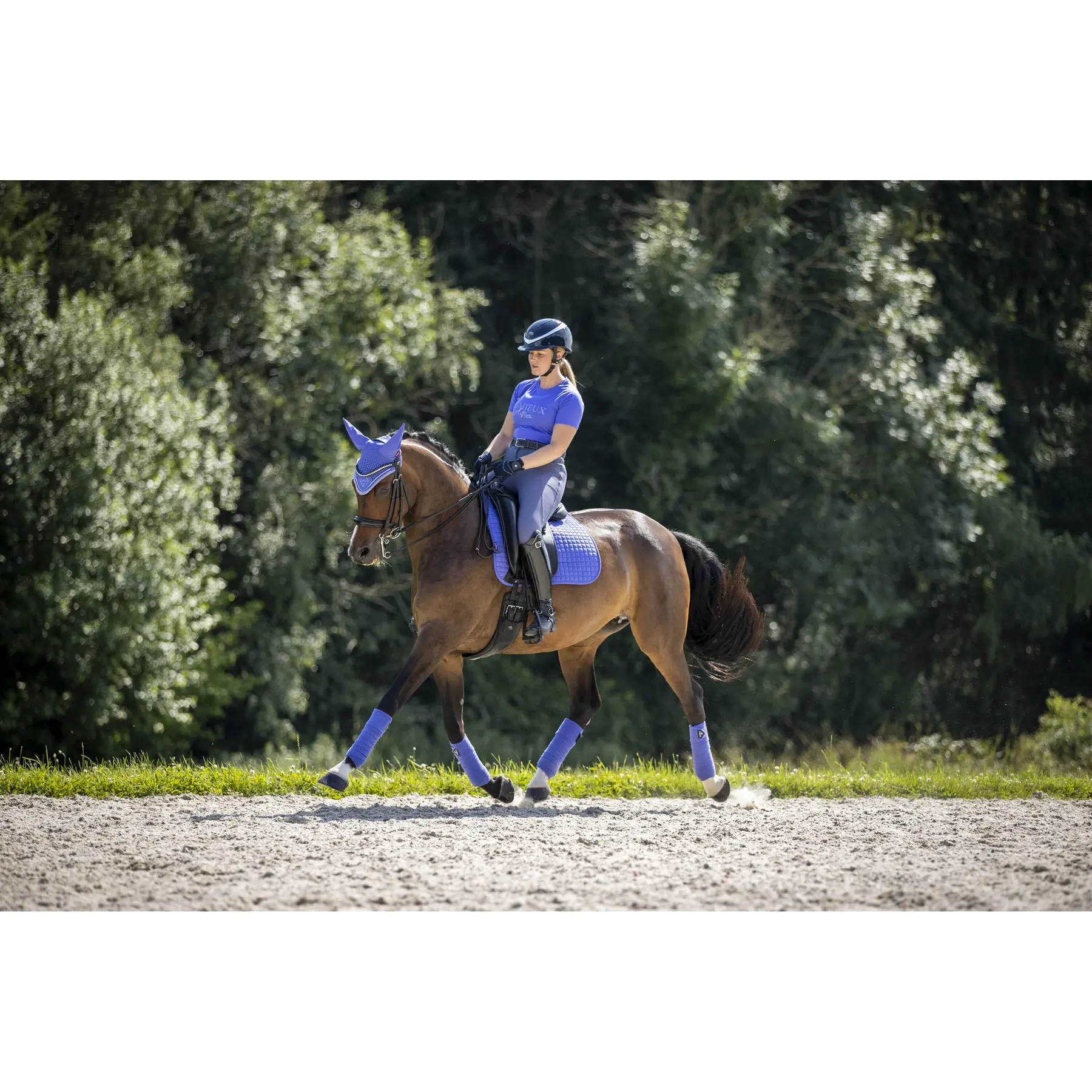 Lemieux Bleu Dressage Saddle Pad Suede