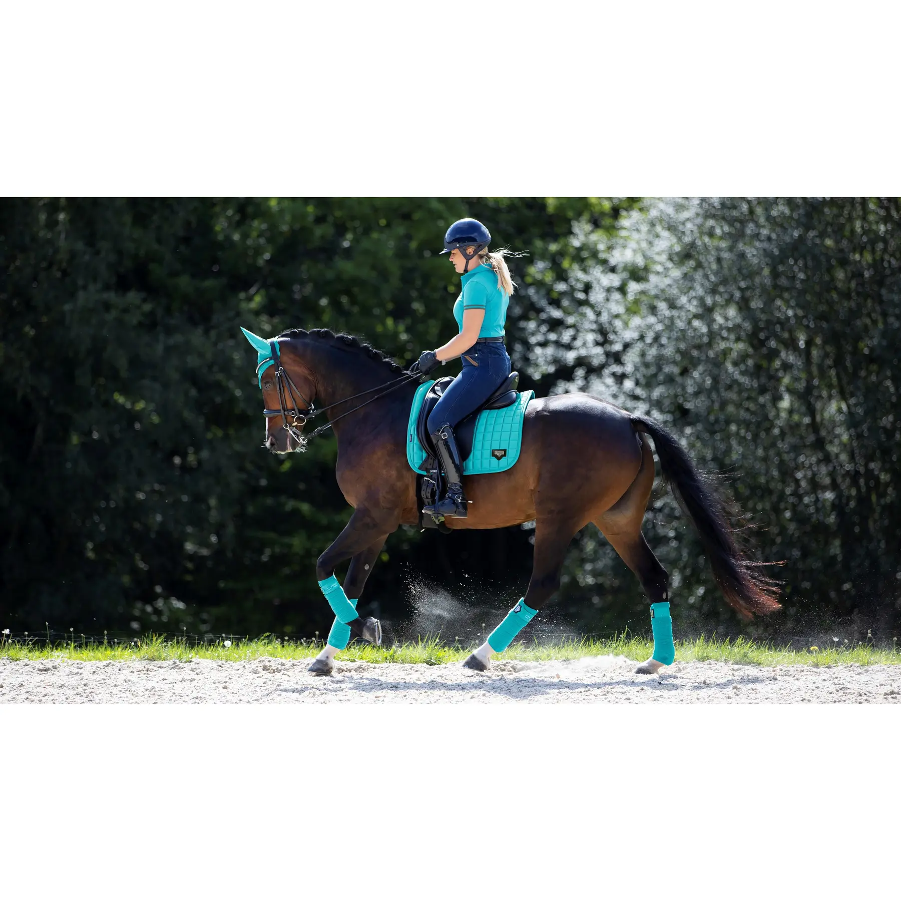 Meilleurs prix pour Tapis de dressage pour cheval LeMieux Loire Memory