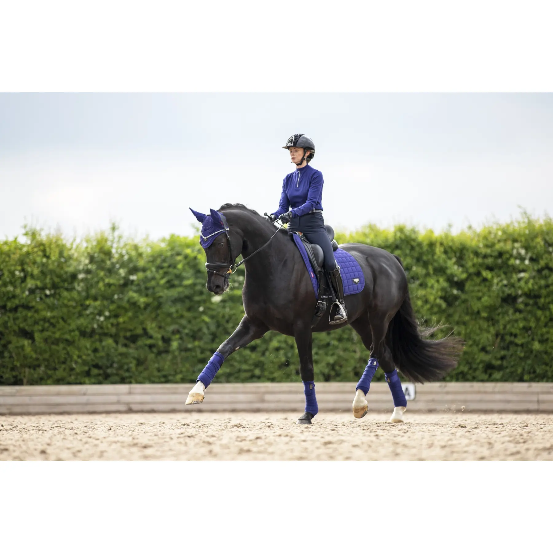Lemieux Bleu Dressage Saddle Pad Loire Classic