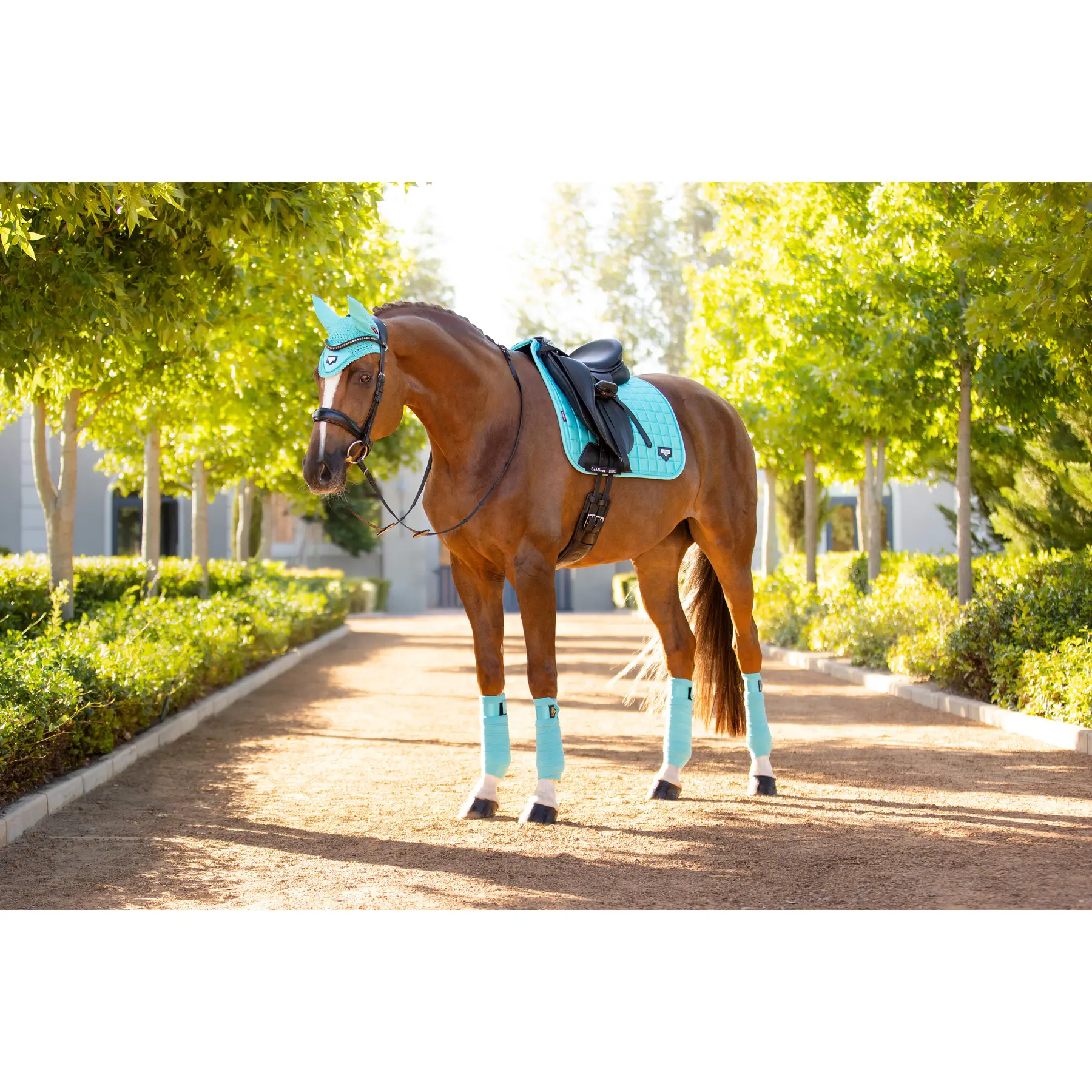 Lemieux Bleu Dressage Saddle Pad Loire Classic
