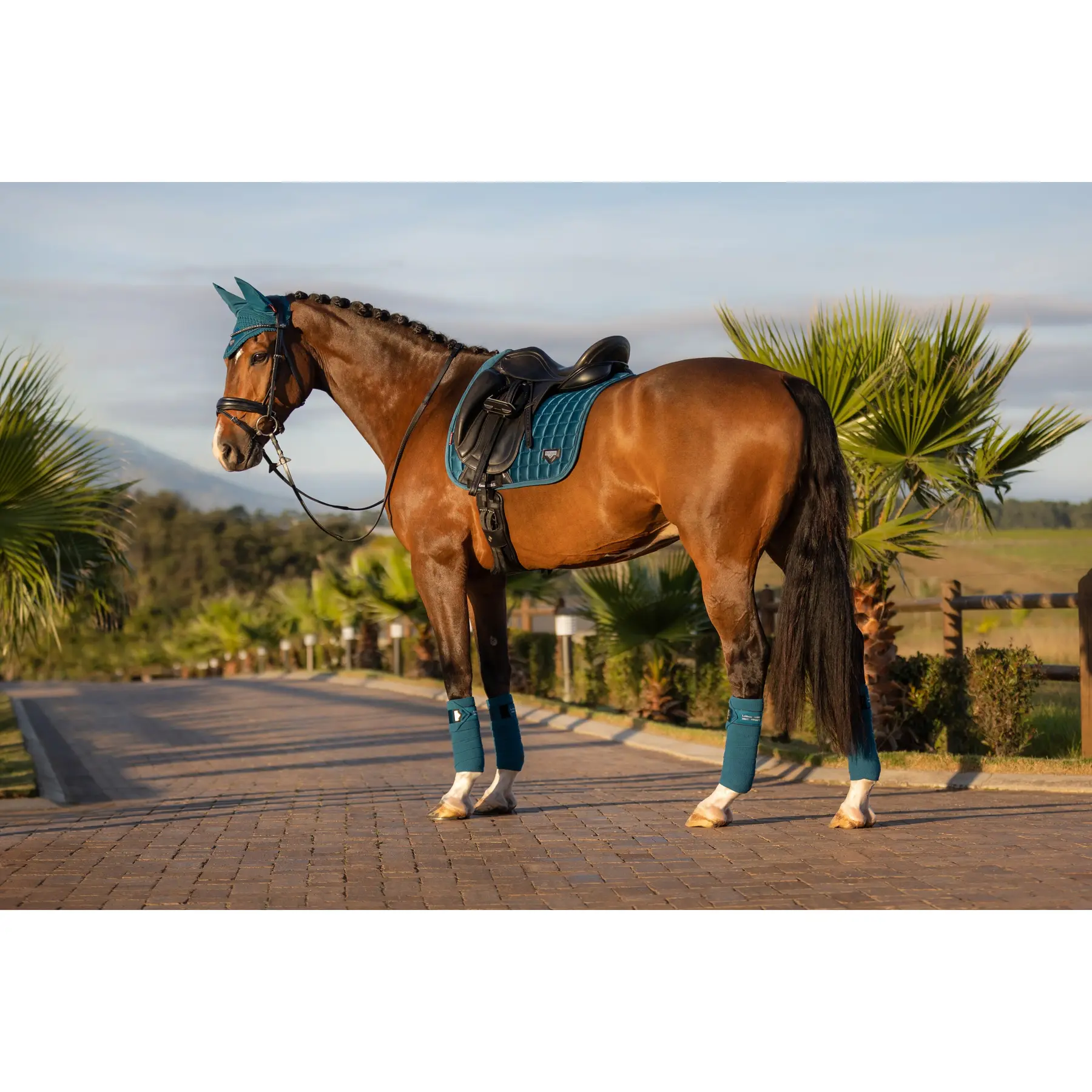 Lemieux Bleu Dressage Saddle Pad Loire Classic