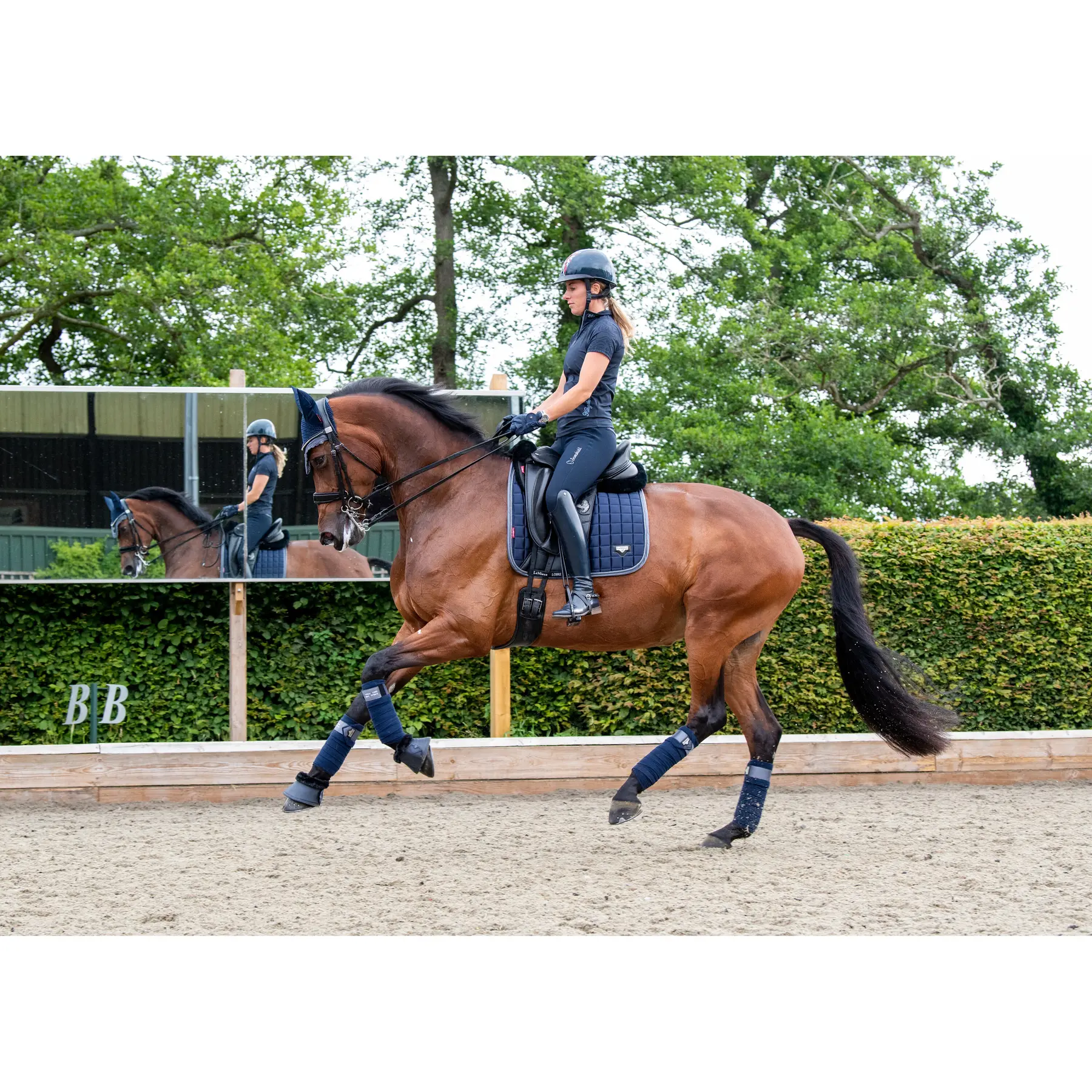 Lemieux Bleu Dressage Saddle Pad Loire Classic