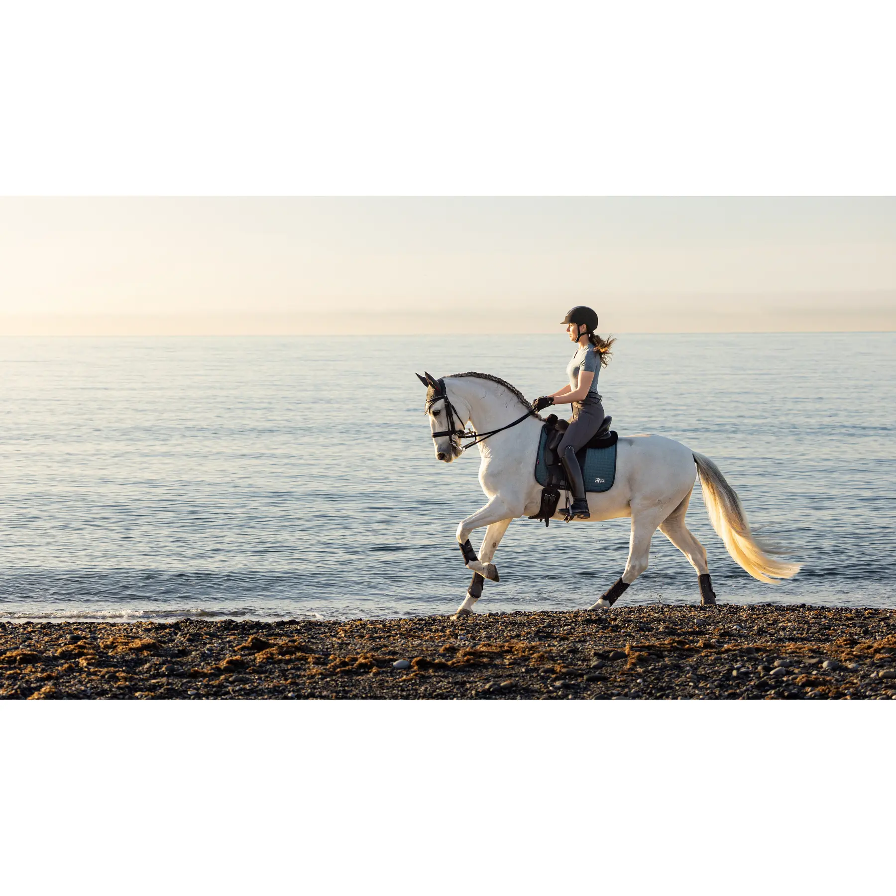 Lemieux Bleu Dressage Saddle Pad Earth