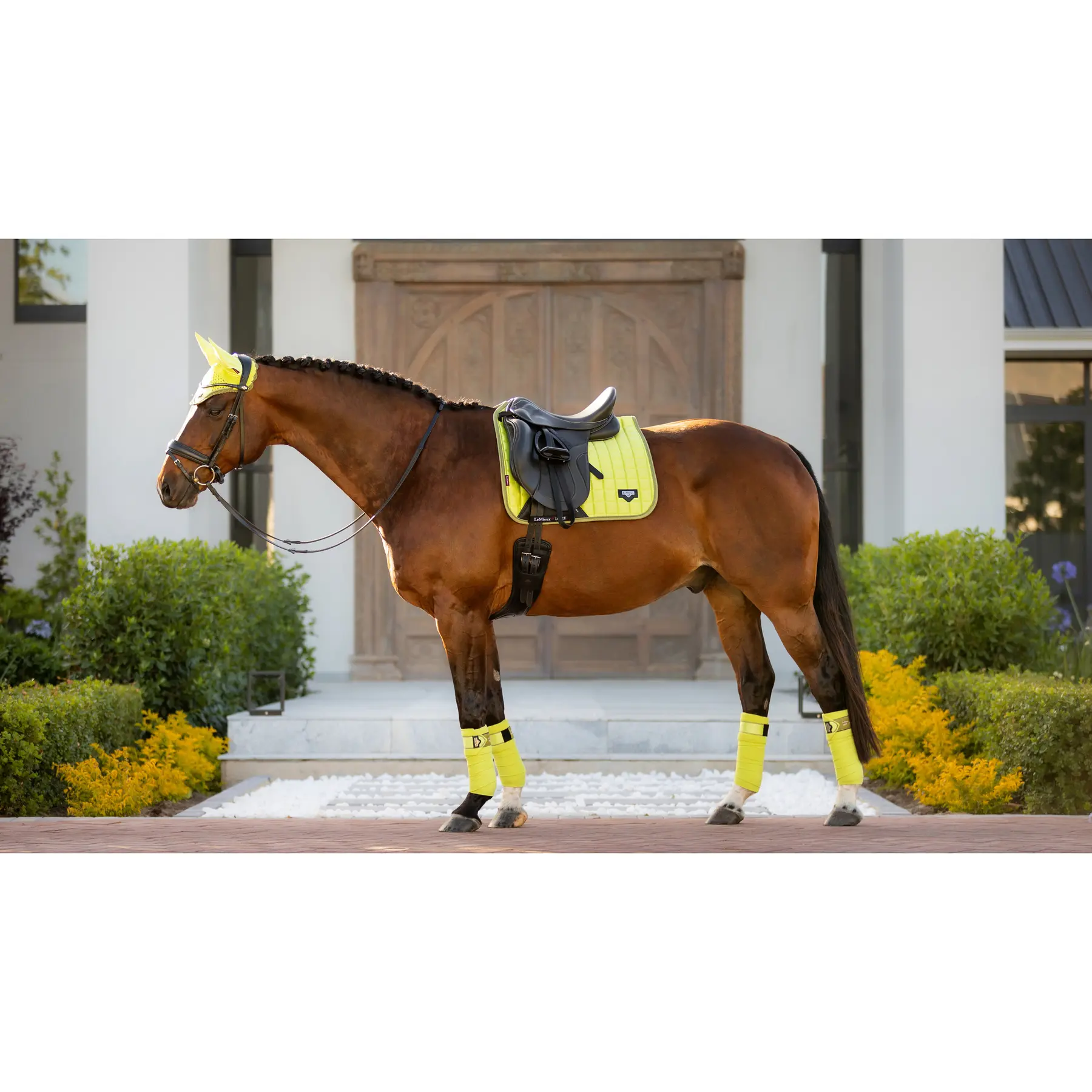 Comparer les prix de Tapis de dressage pour cheval LeMieux Loire Classic