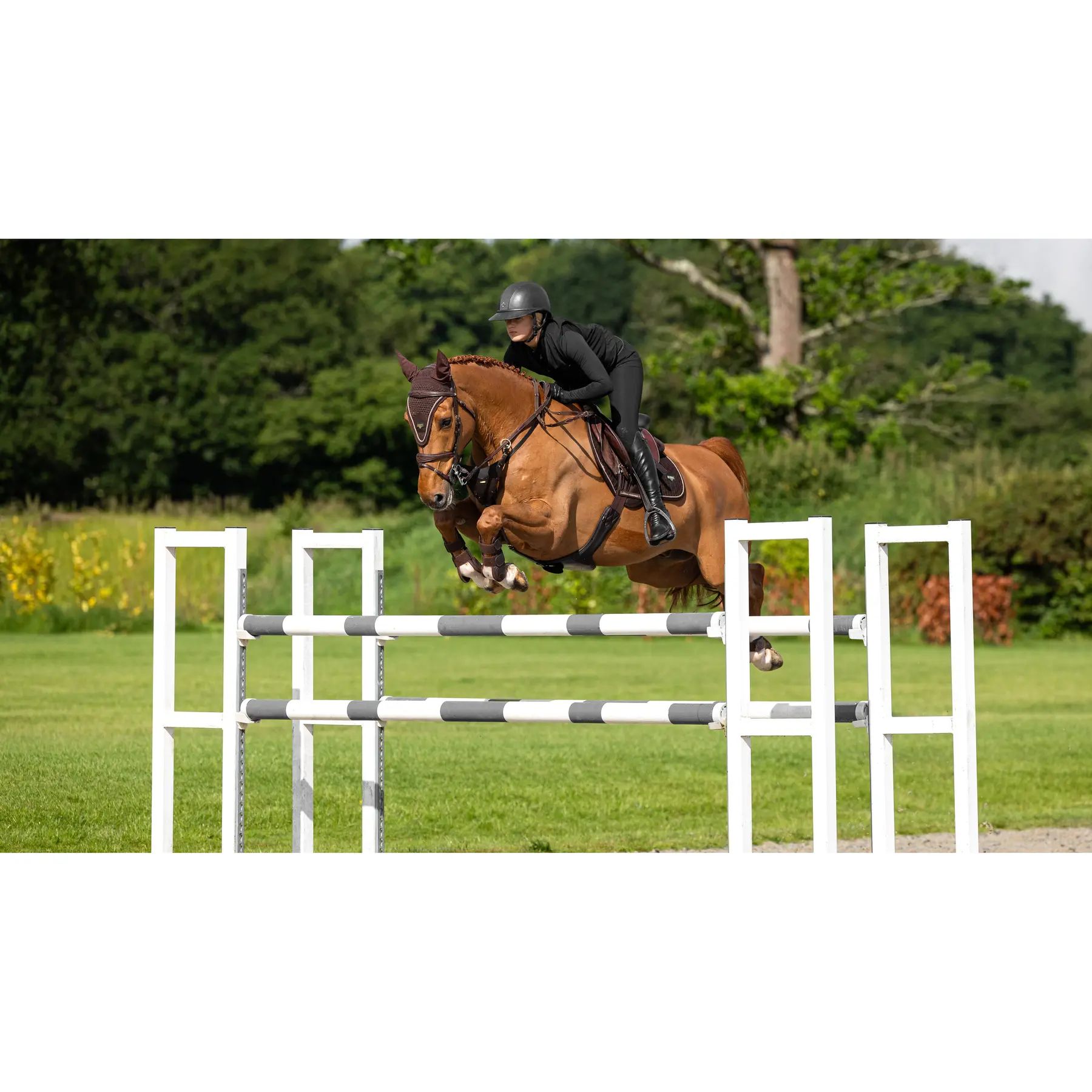 Lemieux Marron Saddle Pad For Horses Puissance