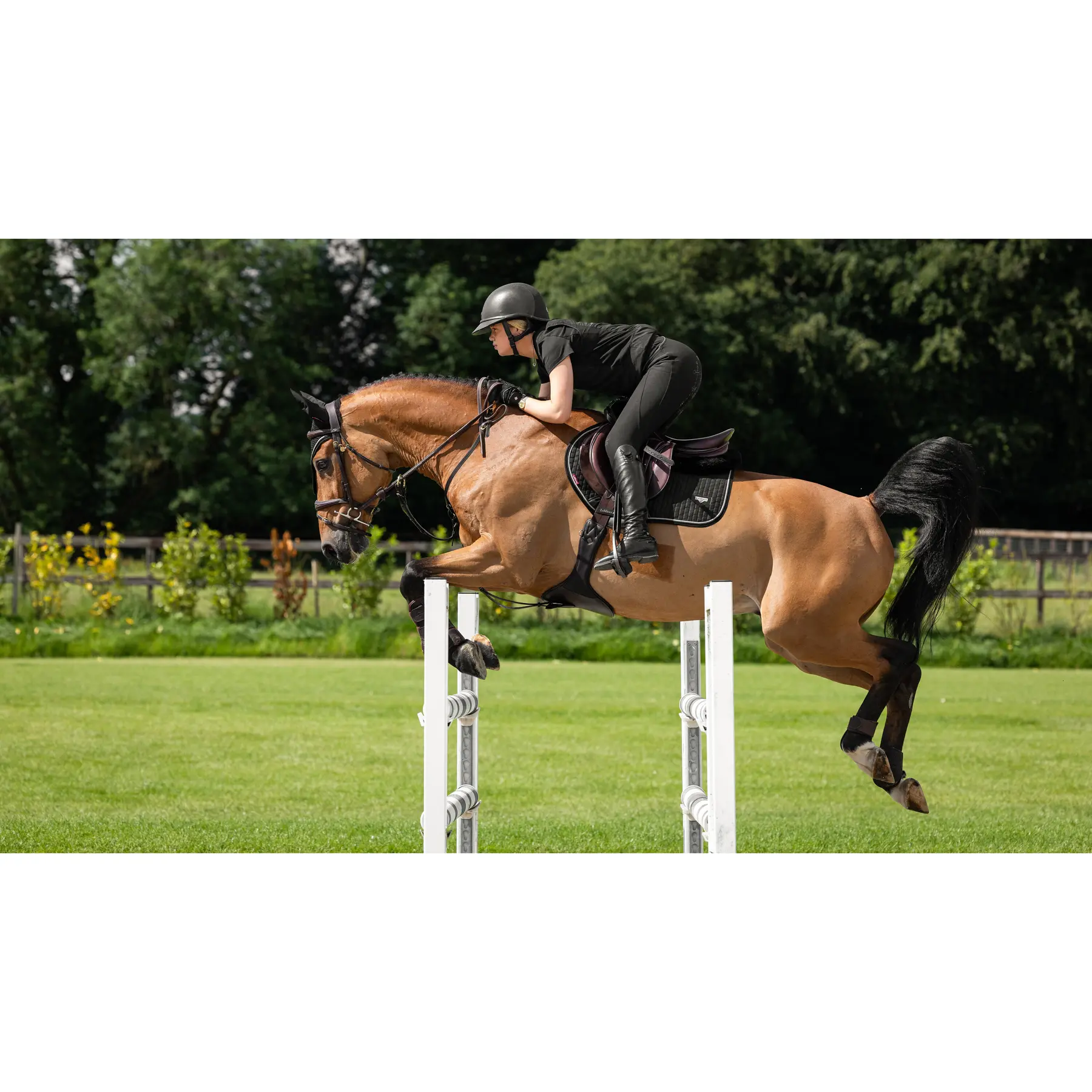 Comparer les prix de Tapis de selle pour cheval LeMieux Puissance