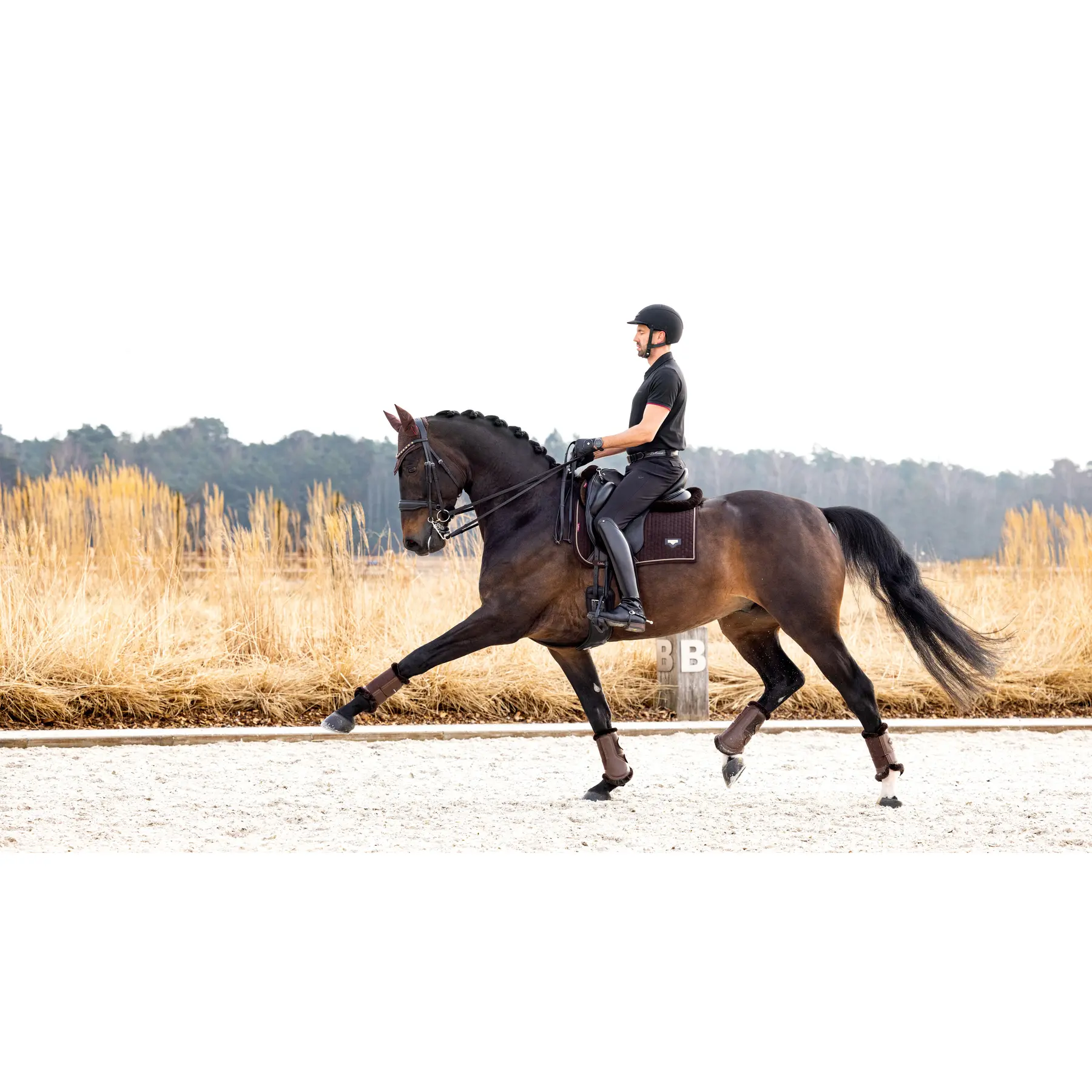 Meilleurs prix pour Tapis de dressage pour cheval LeMieux Puissance Suede