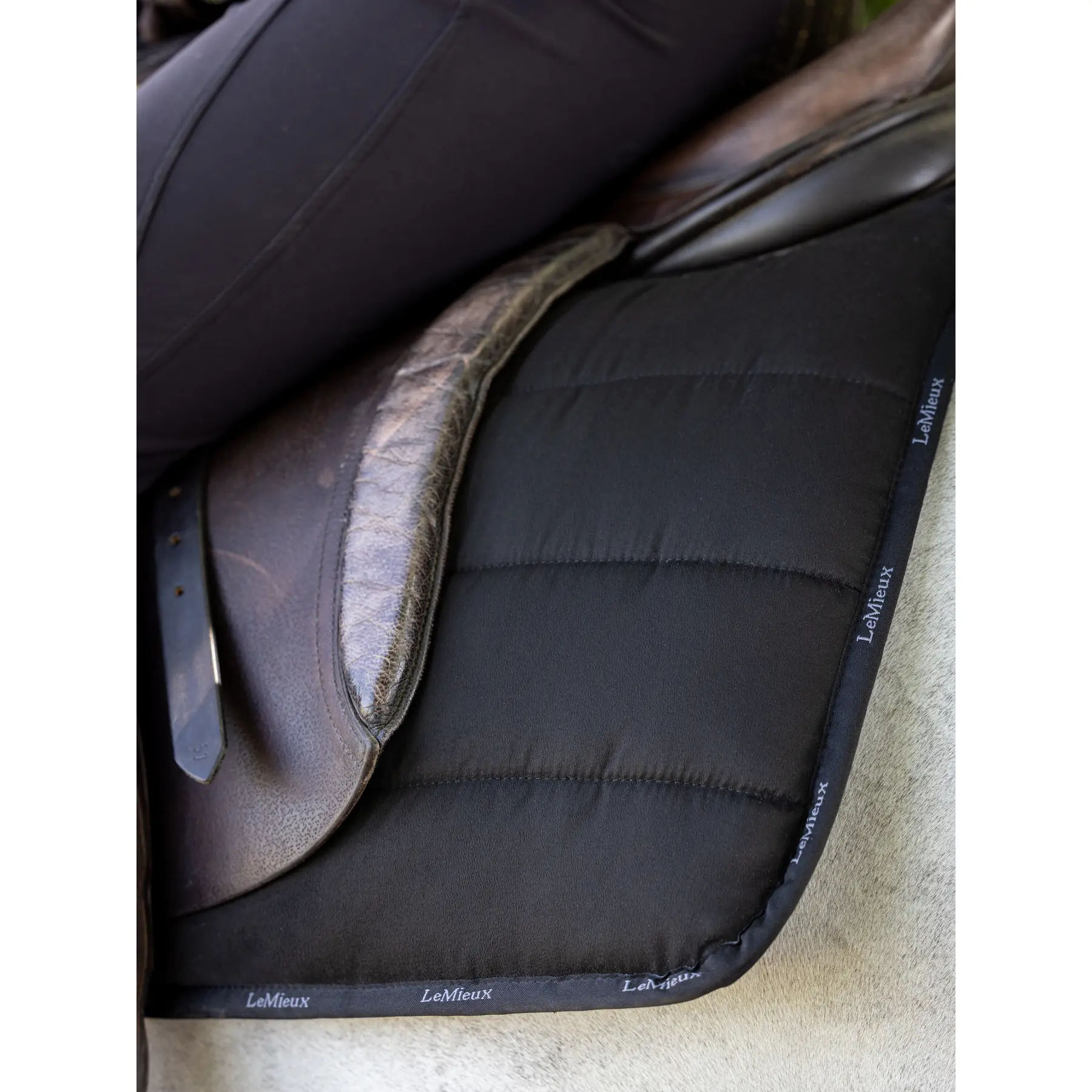 Tapis de selle Square mixte en suédine Chilli