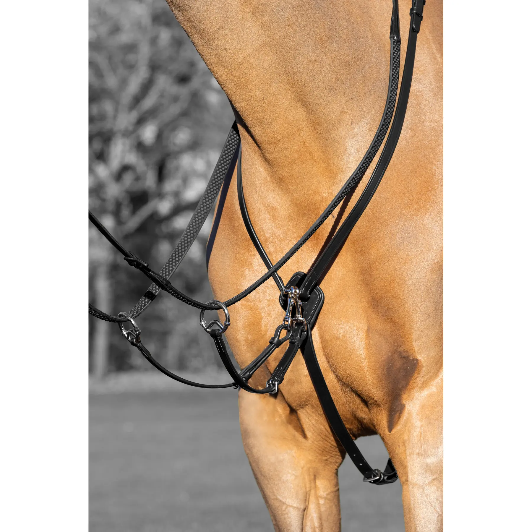 Lemieux Noir Martingale Of Race For Chevall Kudos