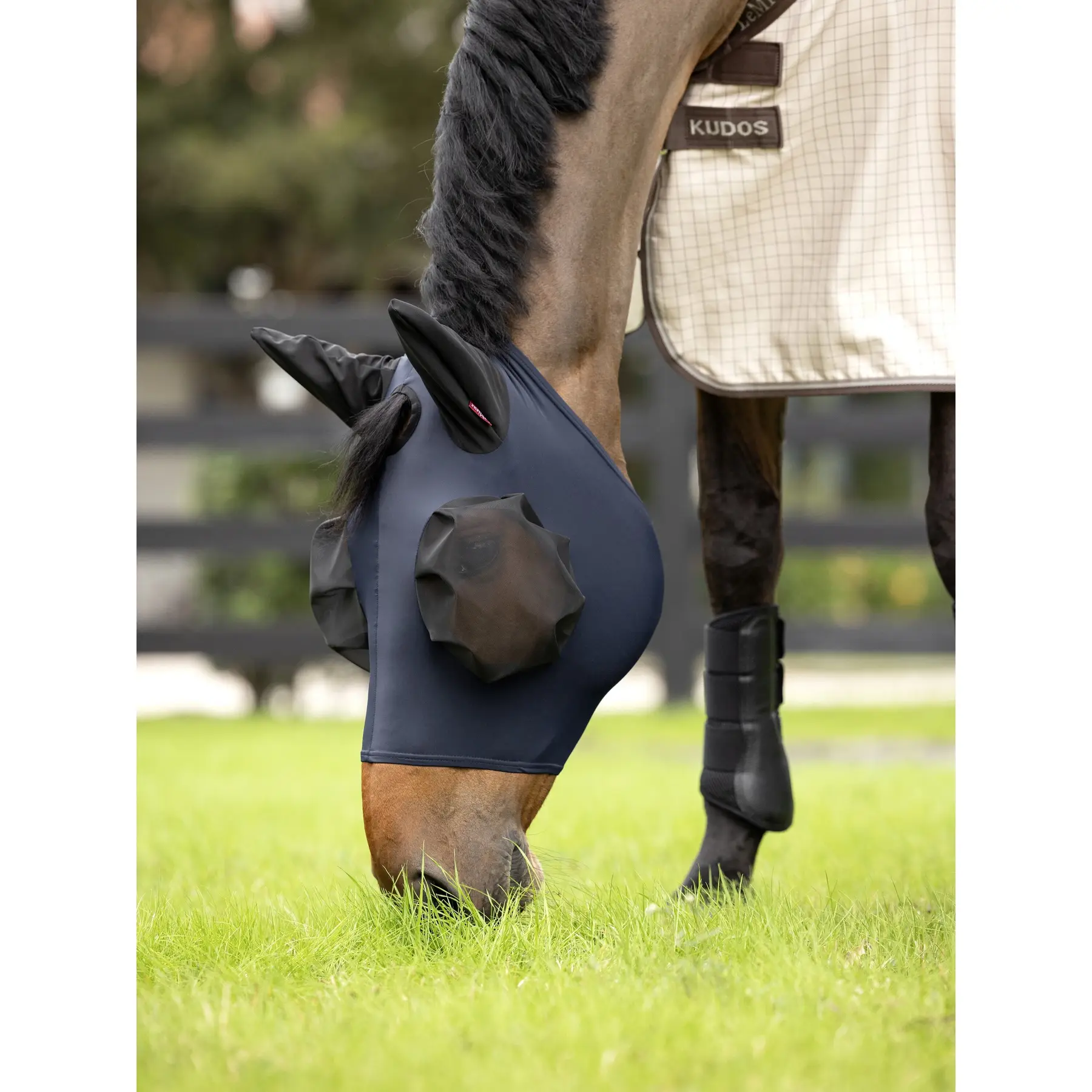 Lemieux Bleu Half Fly Mask Bug Relief