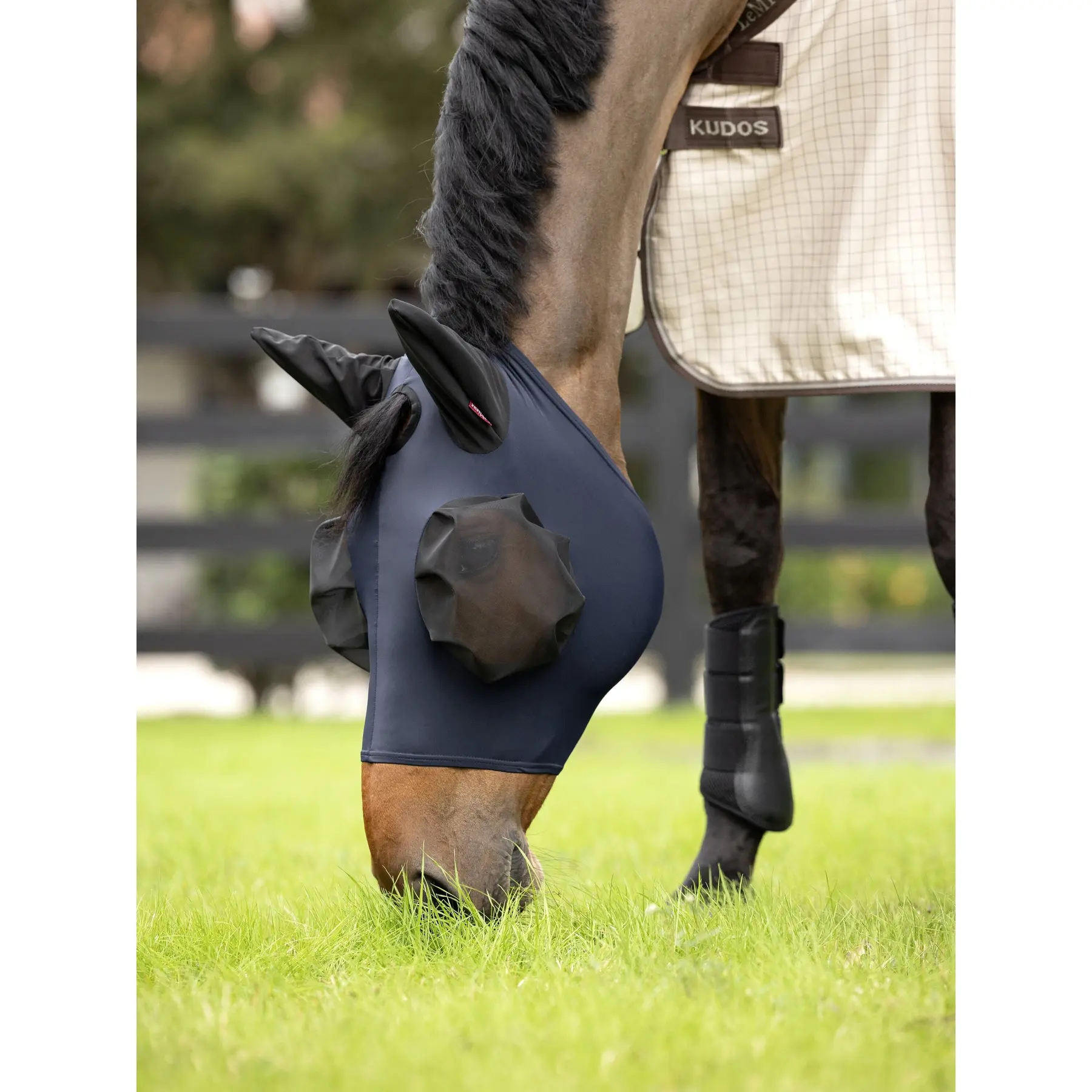 Lemieux Bleu Half Fly Mask