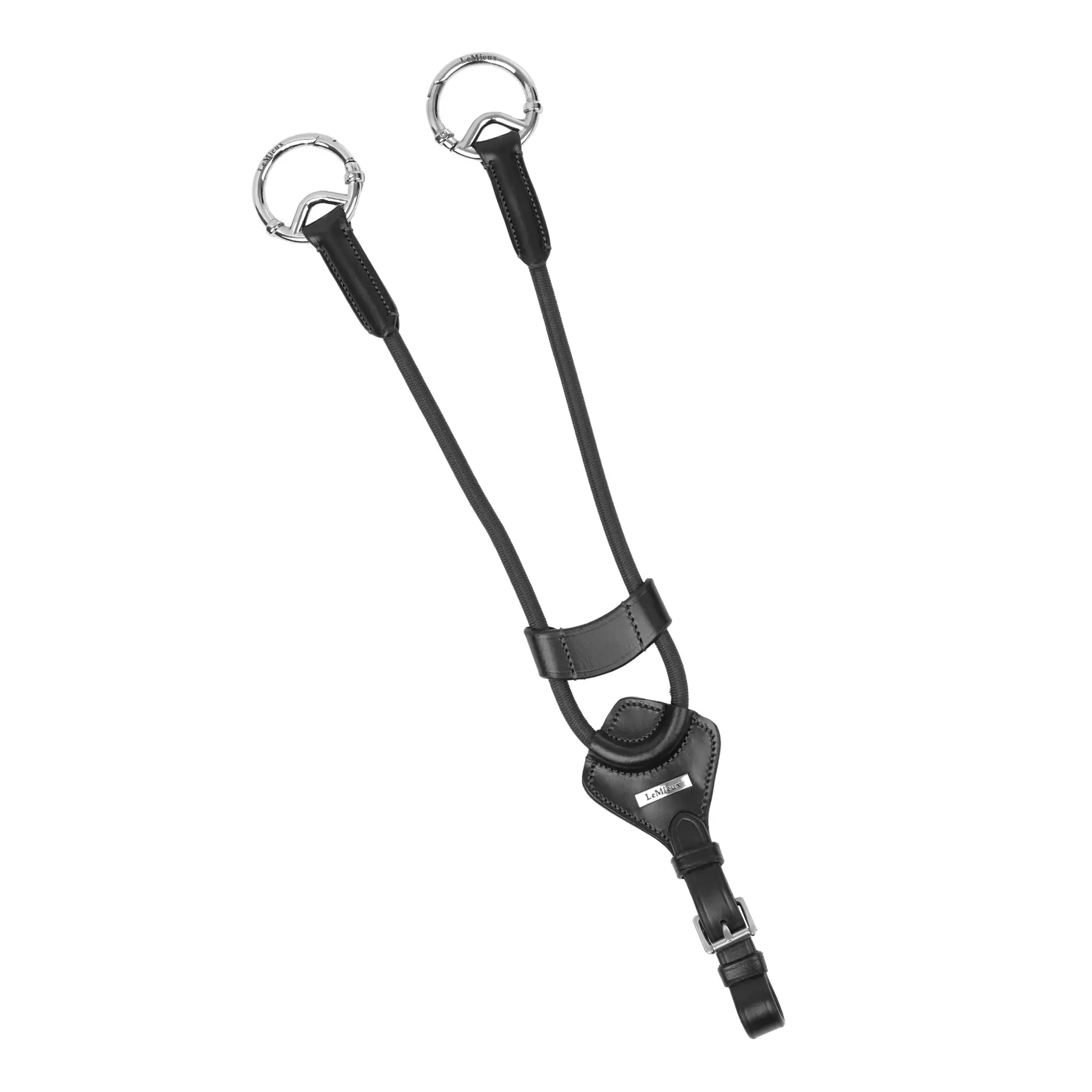 Lemieux Noir Martingale For Elastic Horses