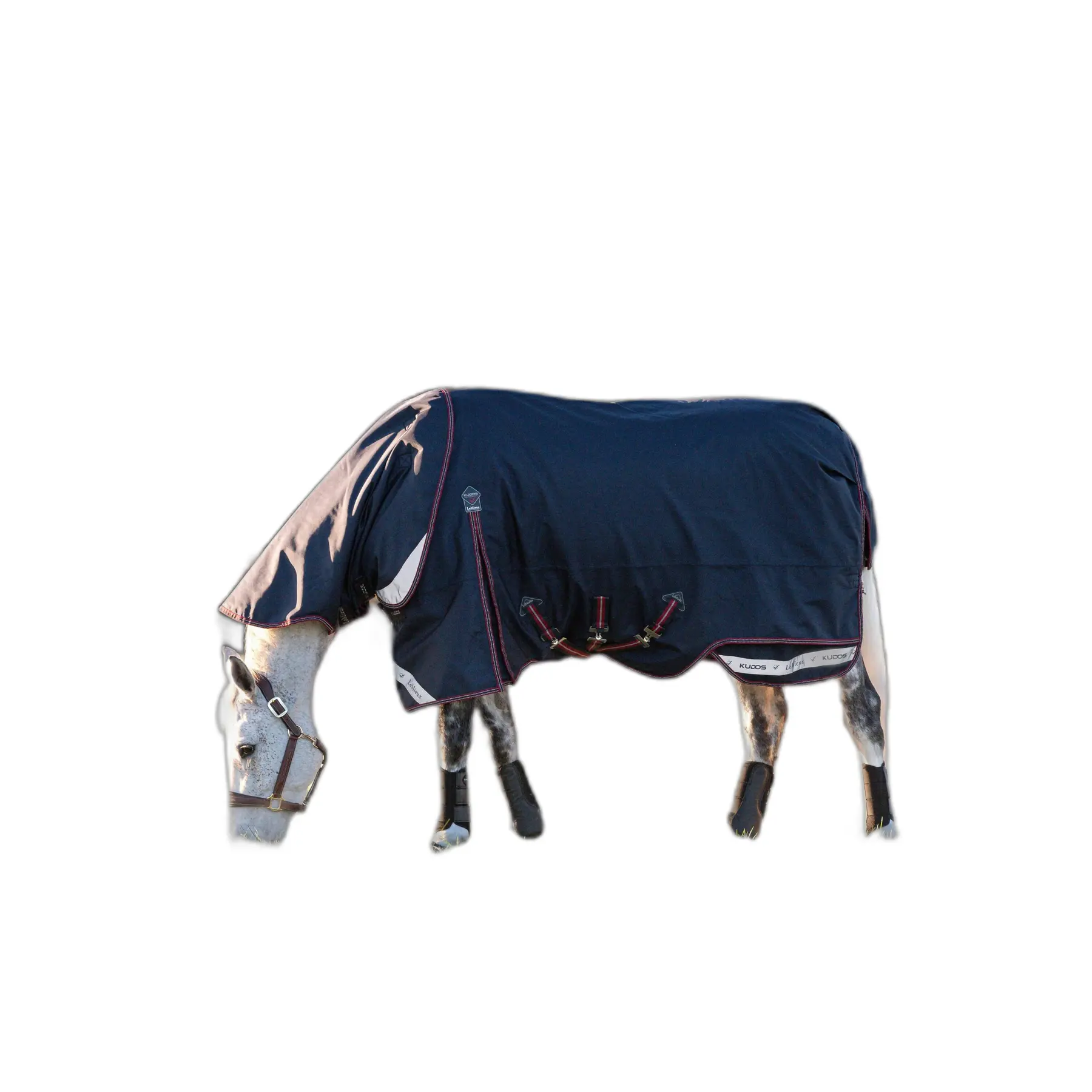 Comparer les prix de Couvre-cou pour cheval LeMieux Kudos 100 g