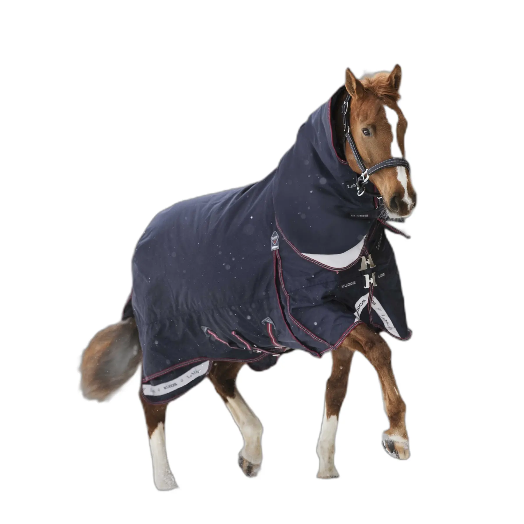 Couverture d'extérieur pour cheval LeMieux Kudos 200 g