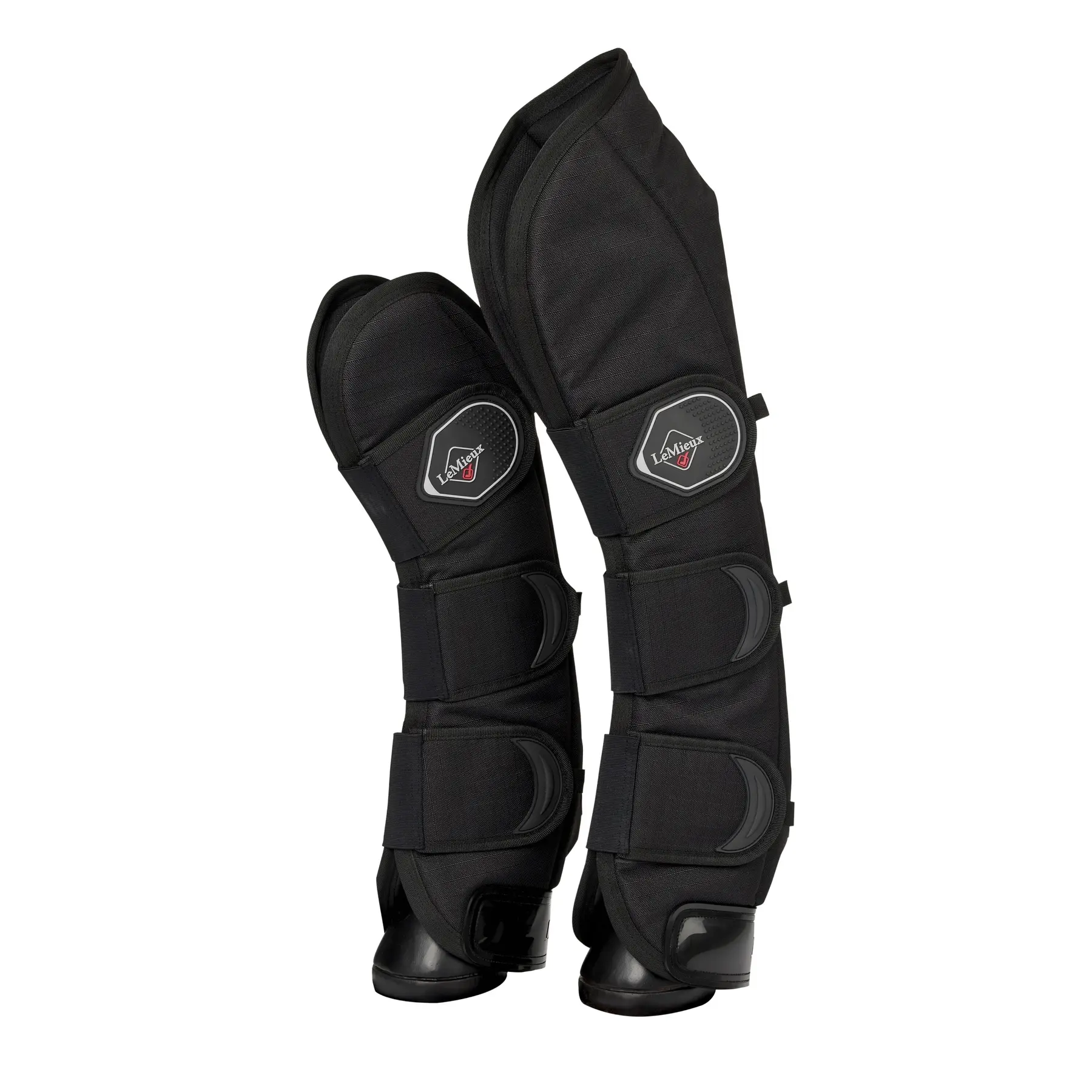 Lemieux Noir Stable Boots For Horses