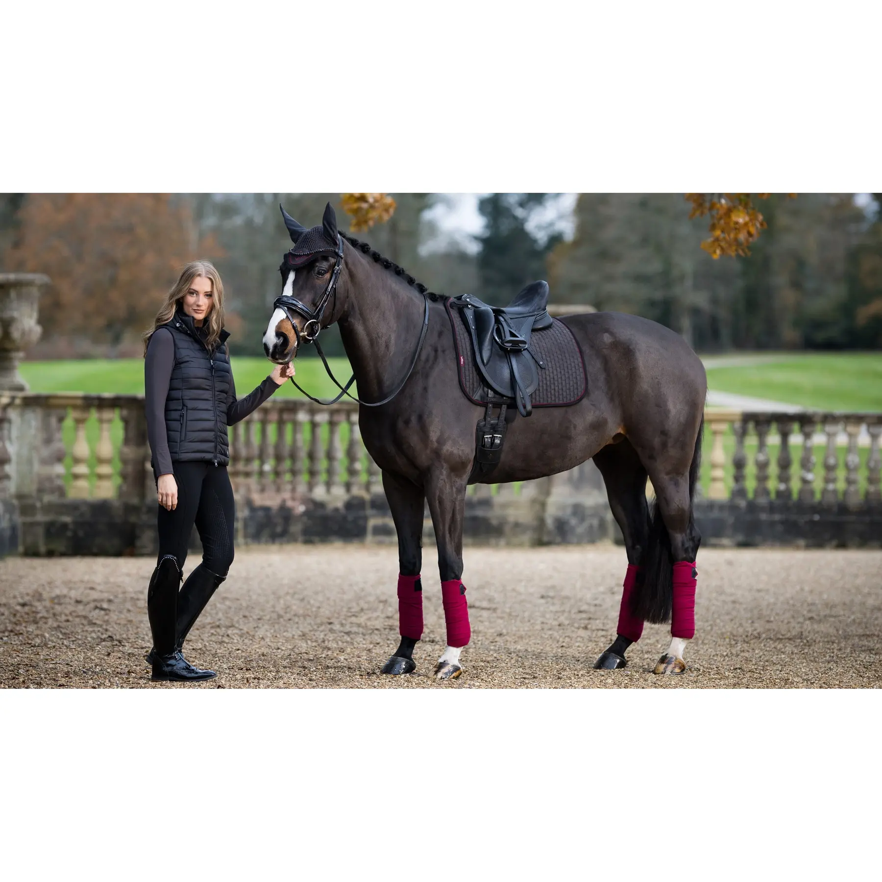 Lemieux Noir Suede Horse Dressage Saddle Pad