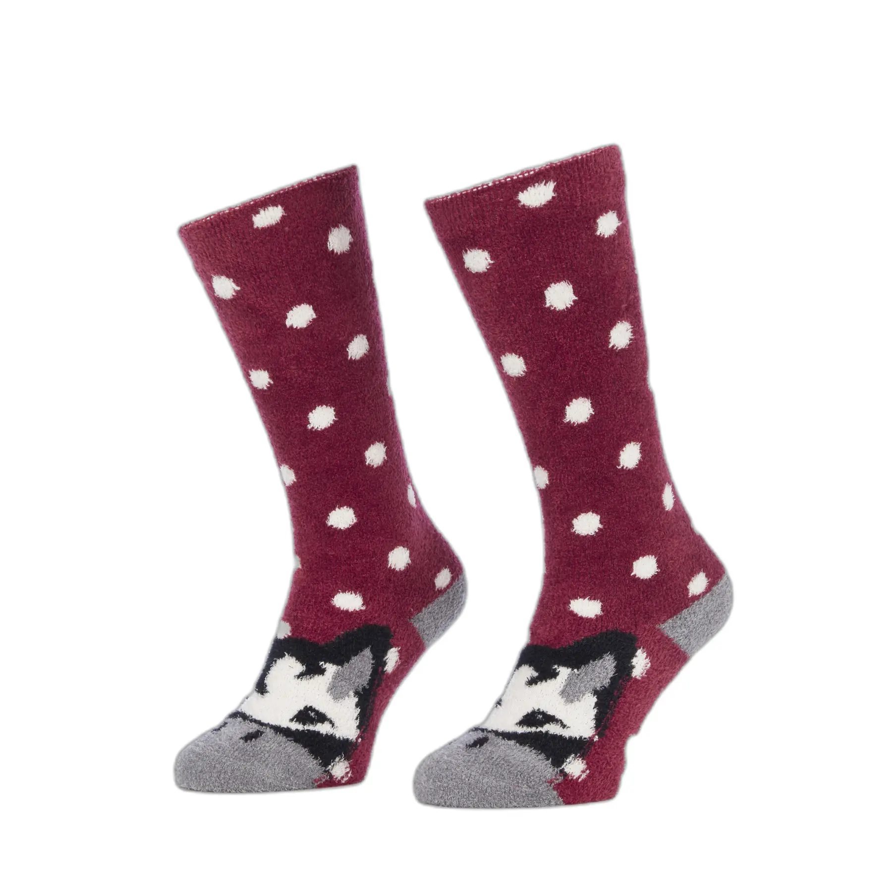 Comparer les prix de Chaussettes équitation fille LeMieux