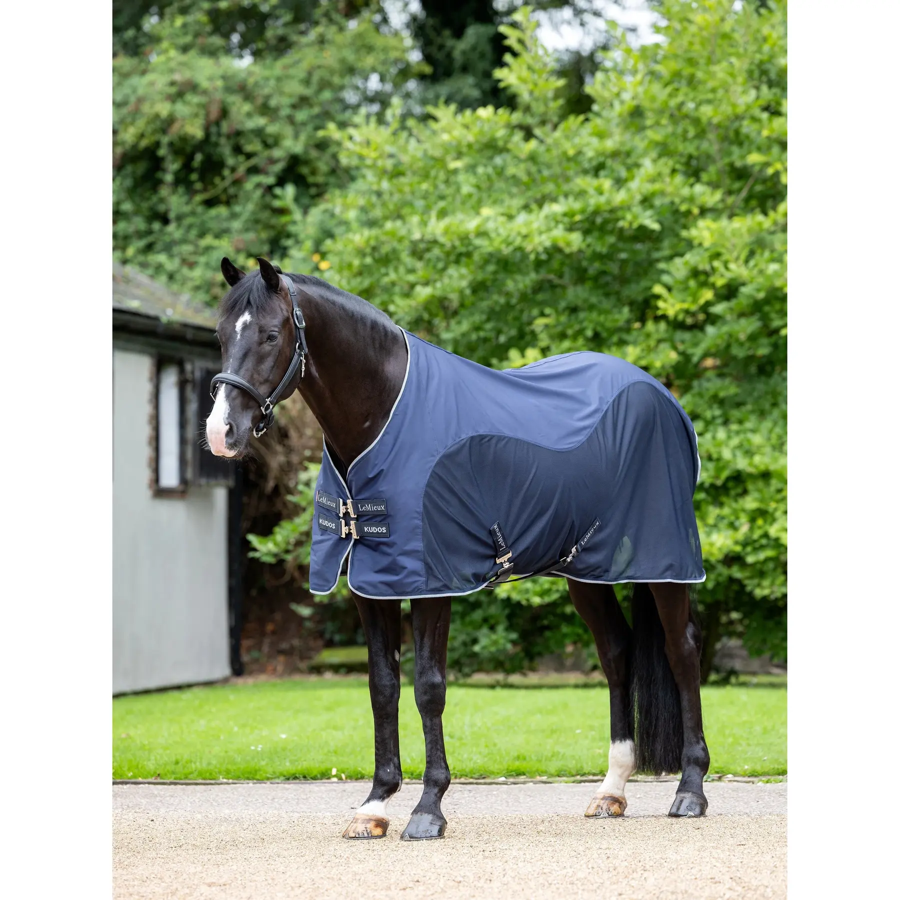 Comparer les prix de Chemise séchante pour cheval LeMieux Kudos Hybrid