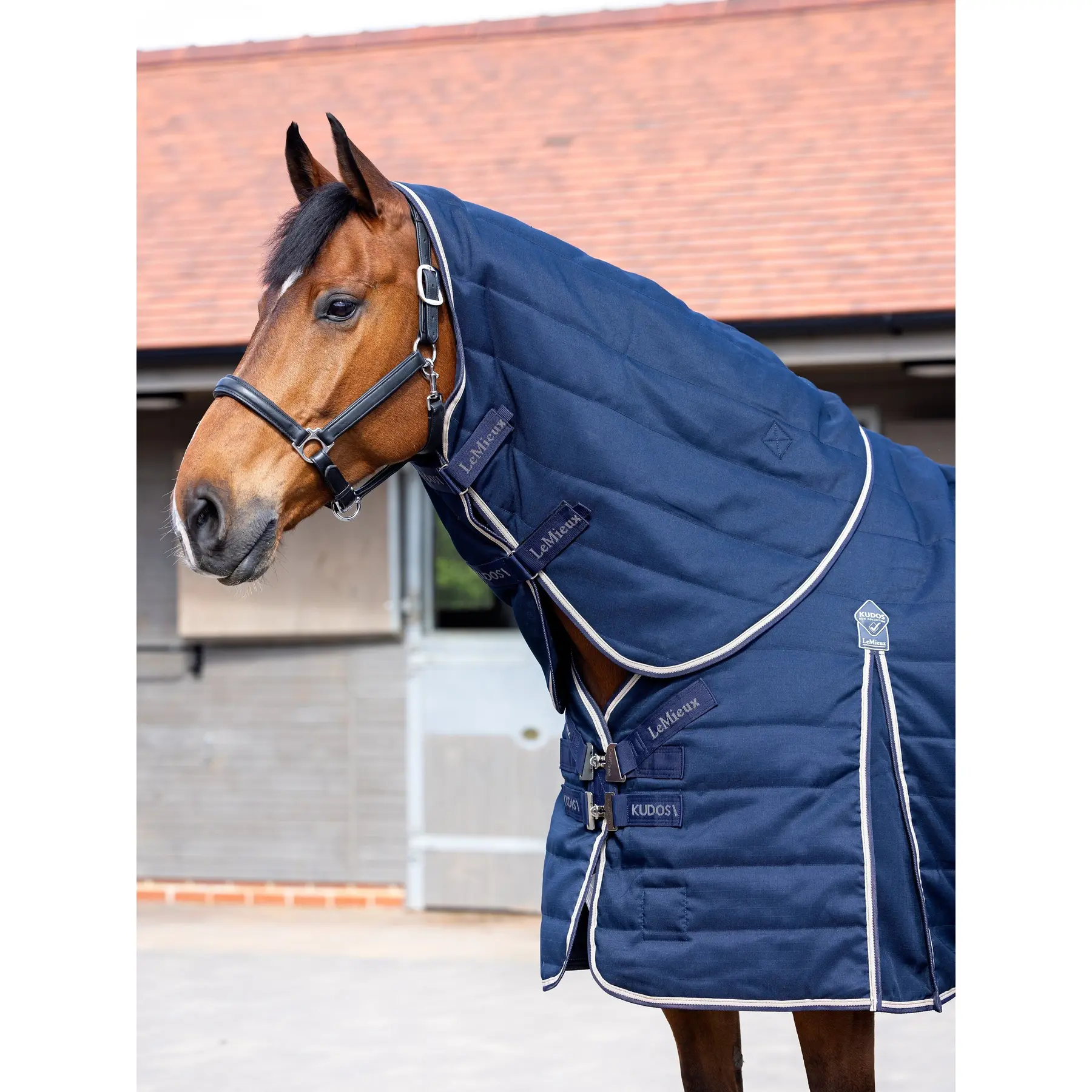 Meilleurs prix pour Couvre-cou pour cheval stable LeMieux Kudos 100g