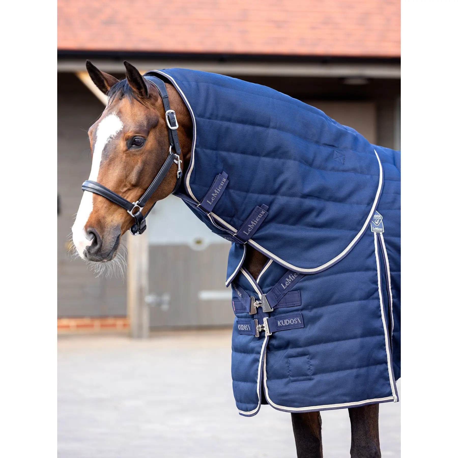 Comparer les prix de Couvre-cou pour cheval stable LeMieux Kudos 200g