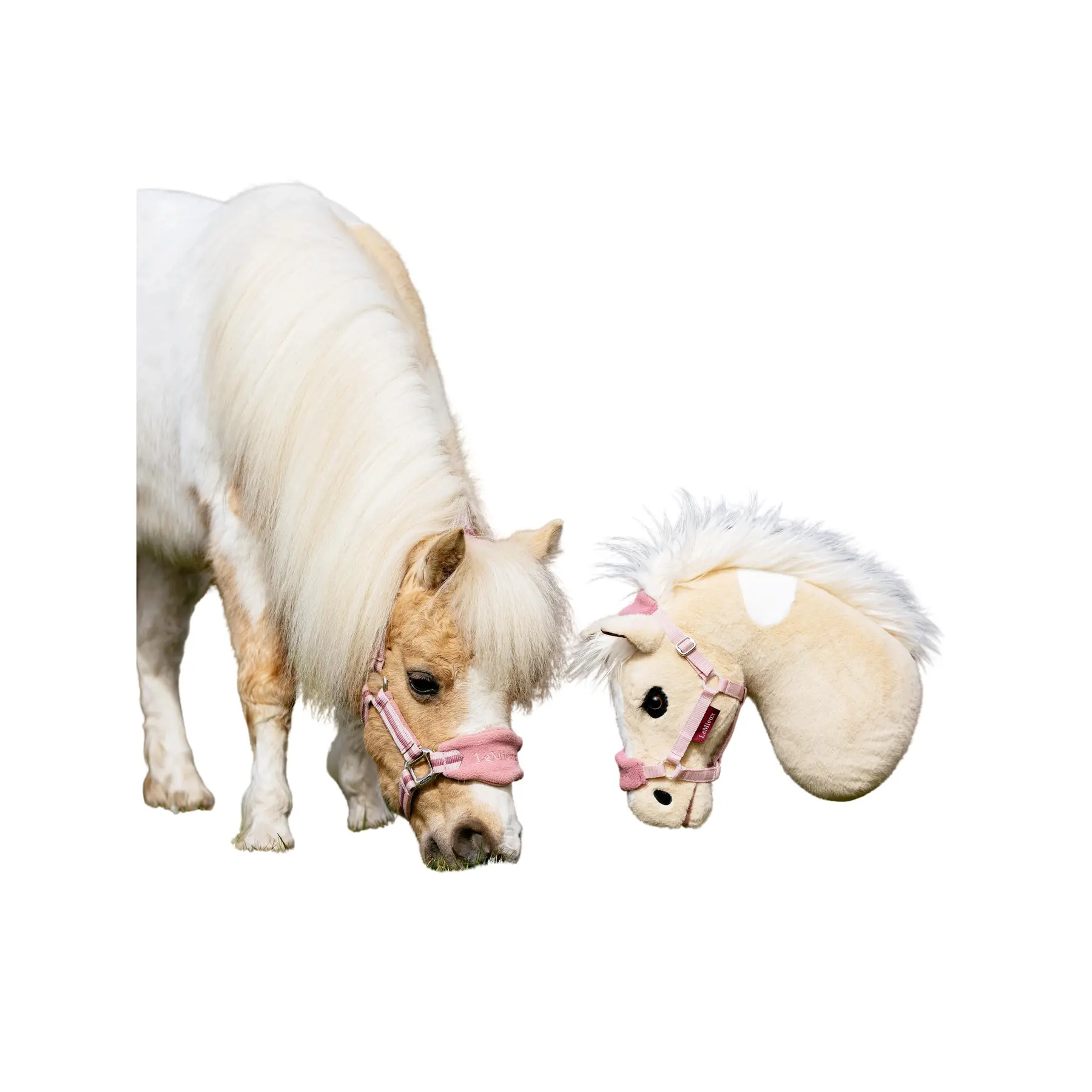 Tête De Cheval Réaliste Dessin Sur Fond Blanc Illustration Stock