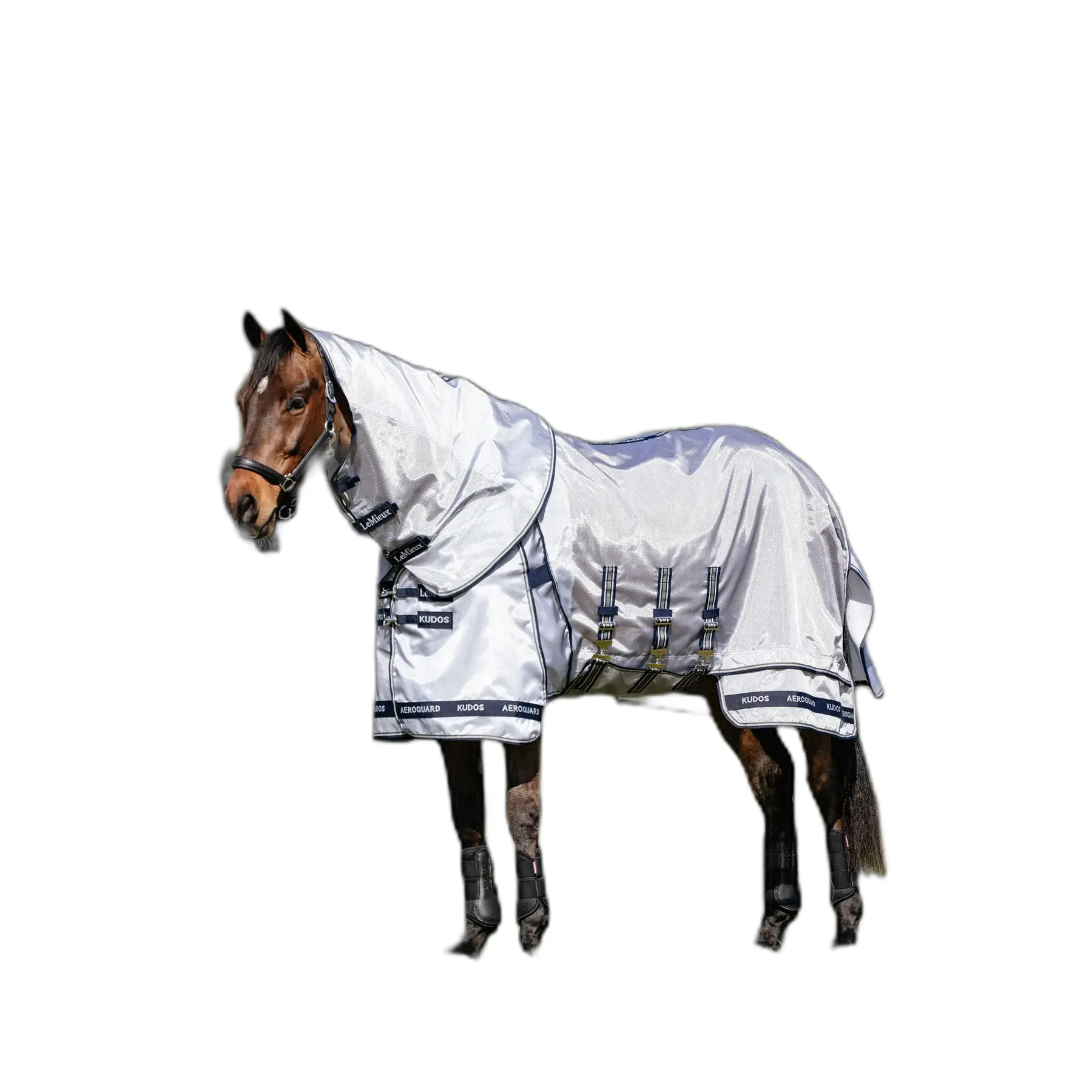 Meilleurs prix pour Chemise anti-mouches pour cheval LeMieux Kudos 'Gladiator'