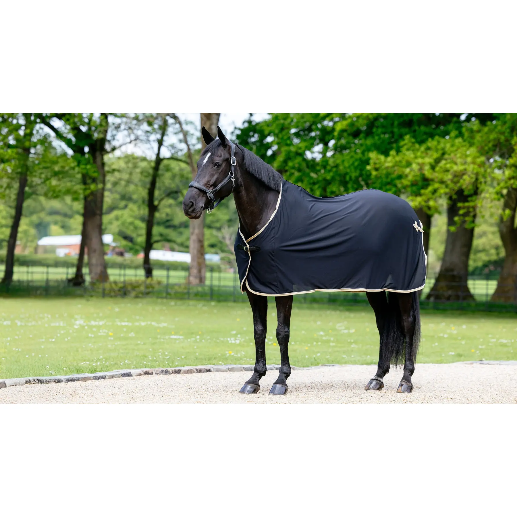 Lemieux Noir Drying Shirt For Horses