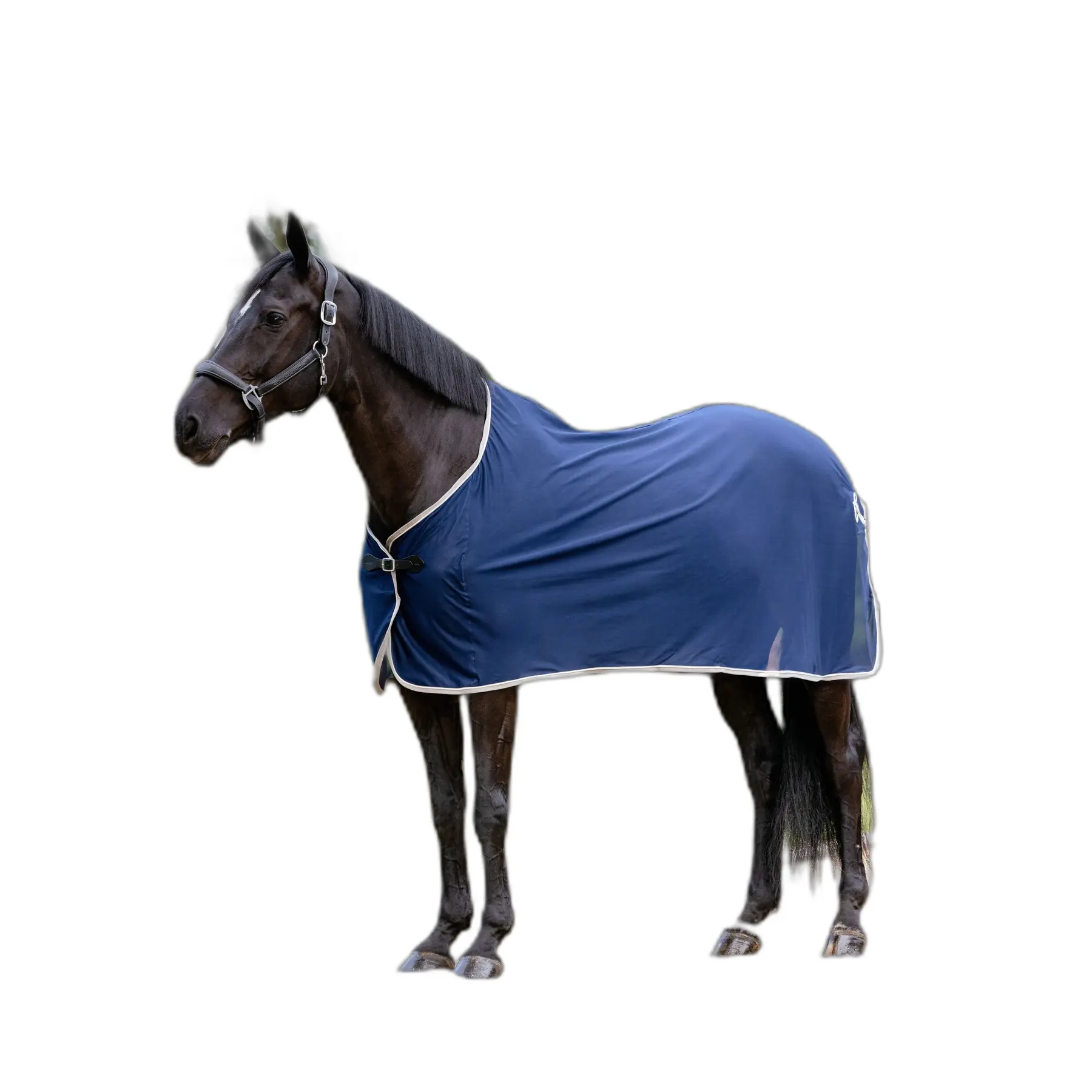 Lemieux Bleu Drying Shirt For Horses