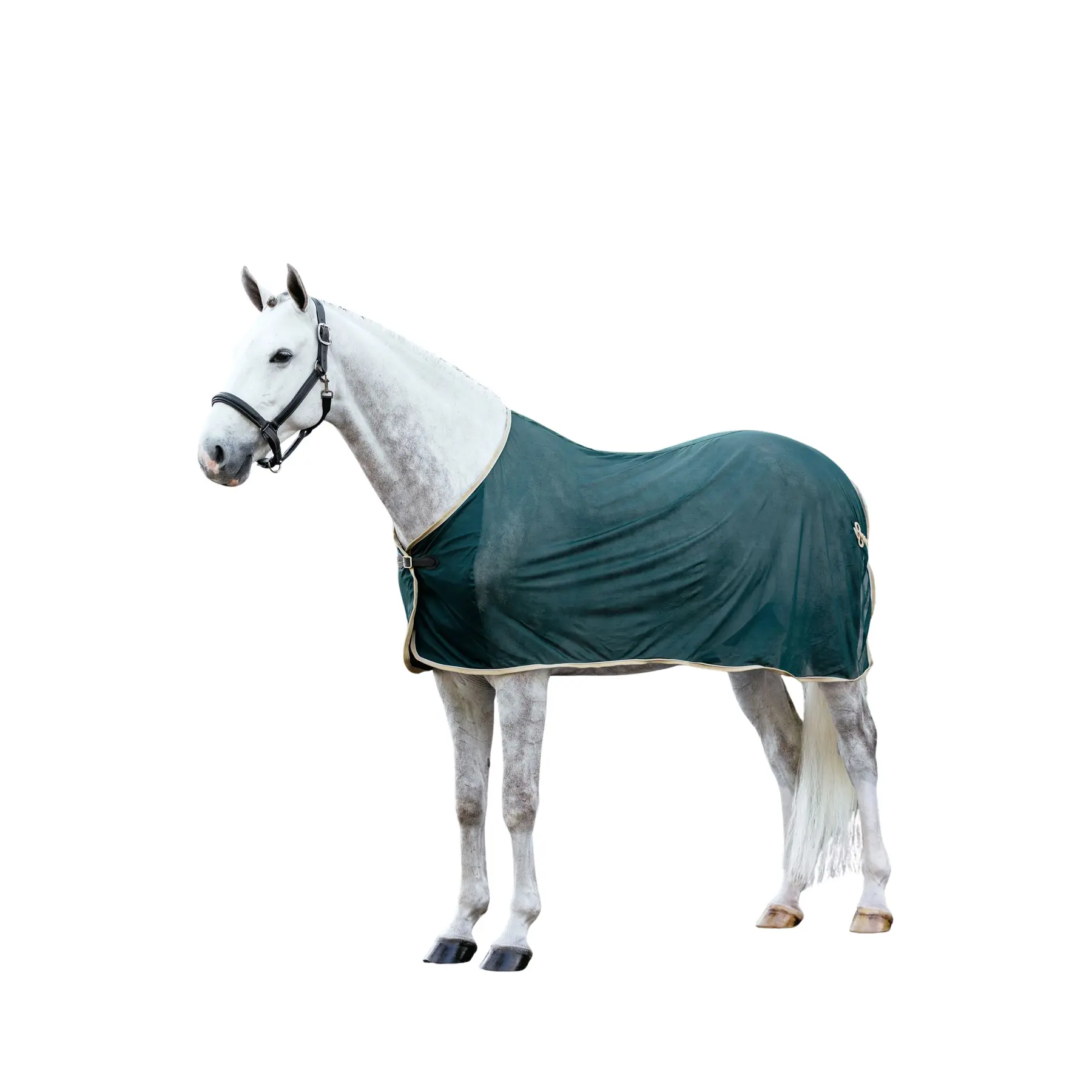 Lemieux Vert Drying Shirt For Horses