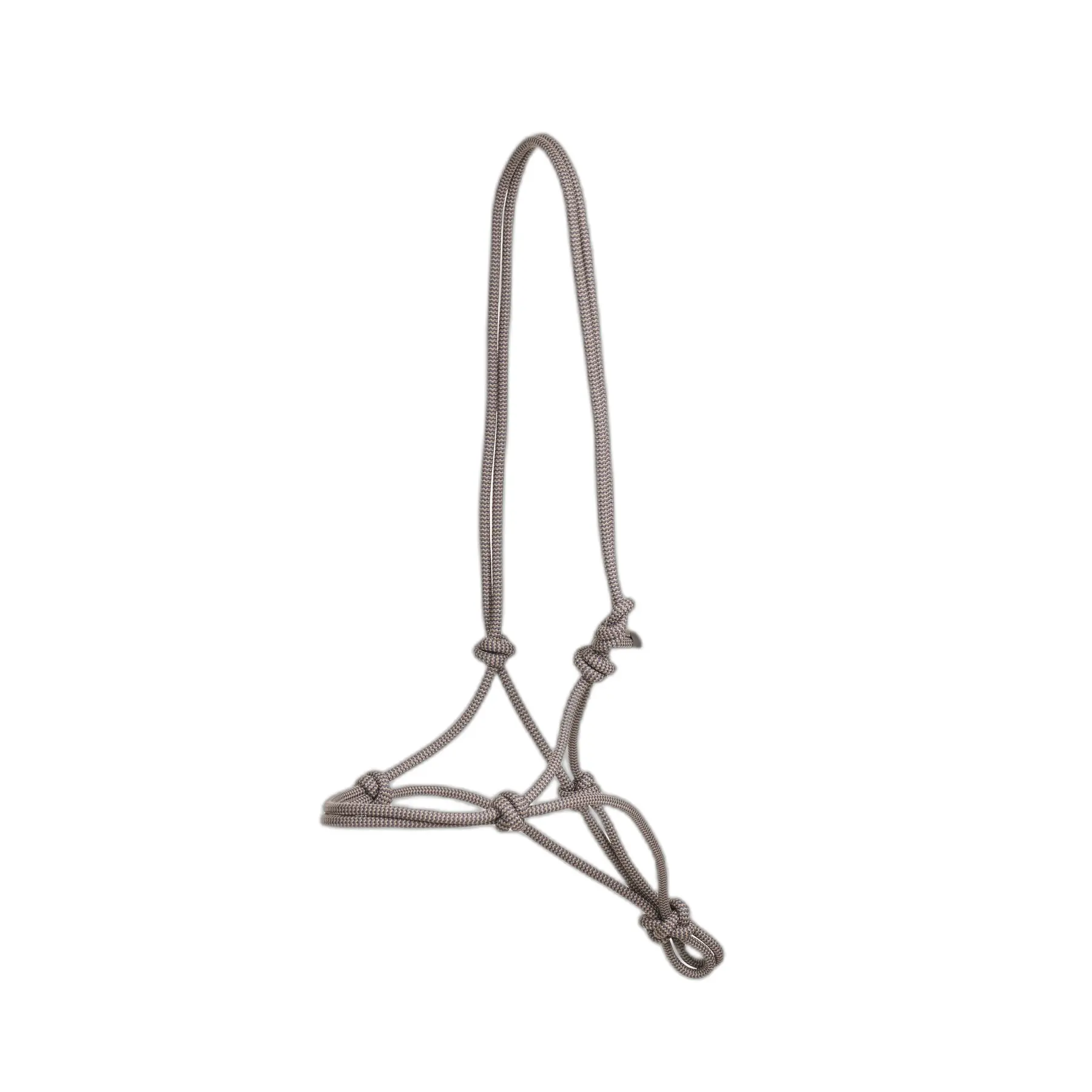 Lemieux Bleu Halter For Horse
