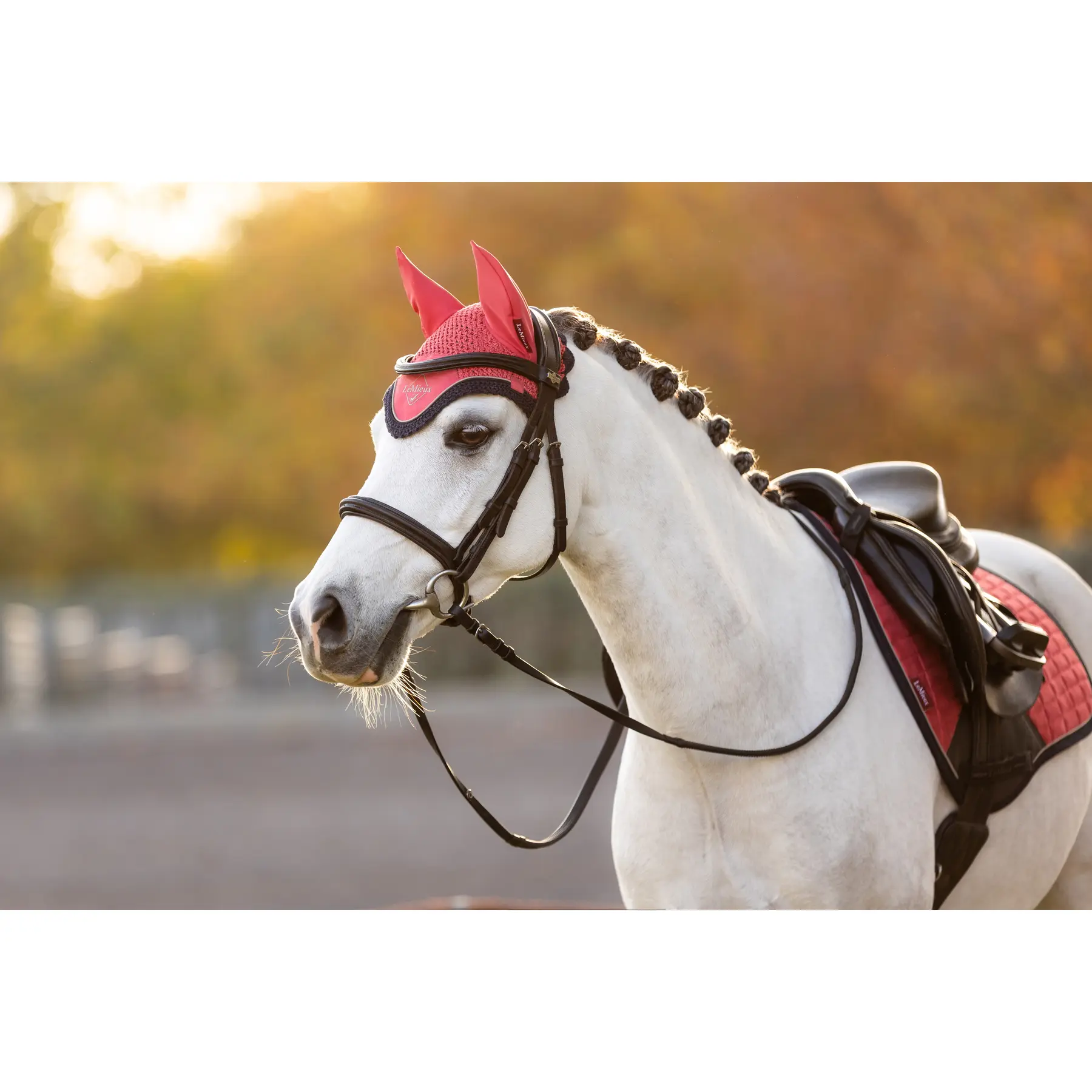 Meilleurs prix pour Bonnet pour jouet équitation LeMieux Mini Classic