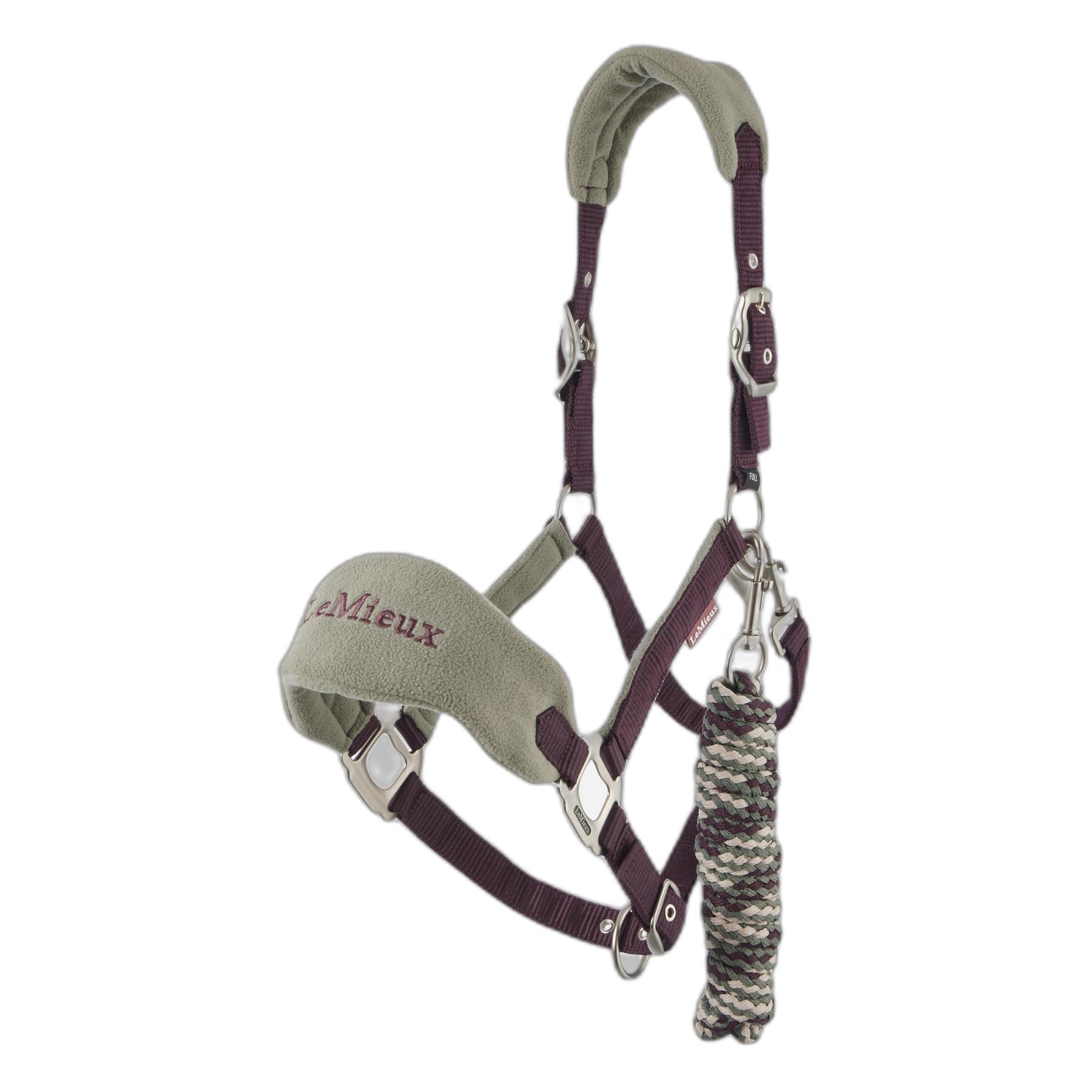 Meilleurs prix pour Licol et longe pour cheval mini vogue LeMieux Pop