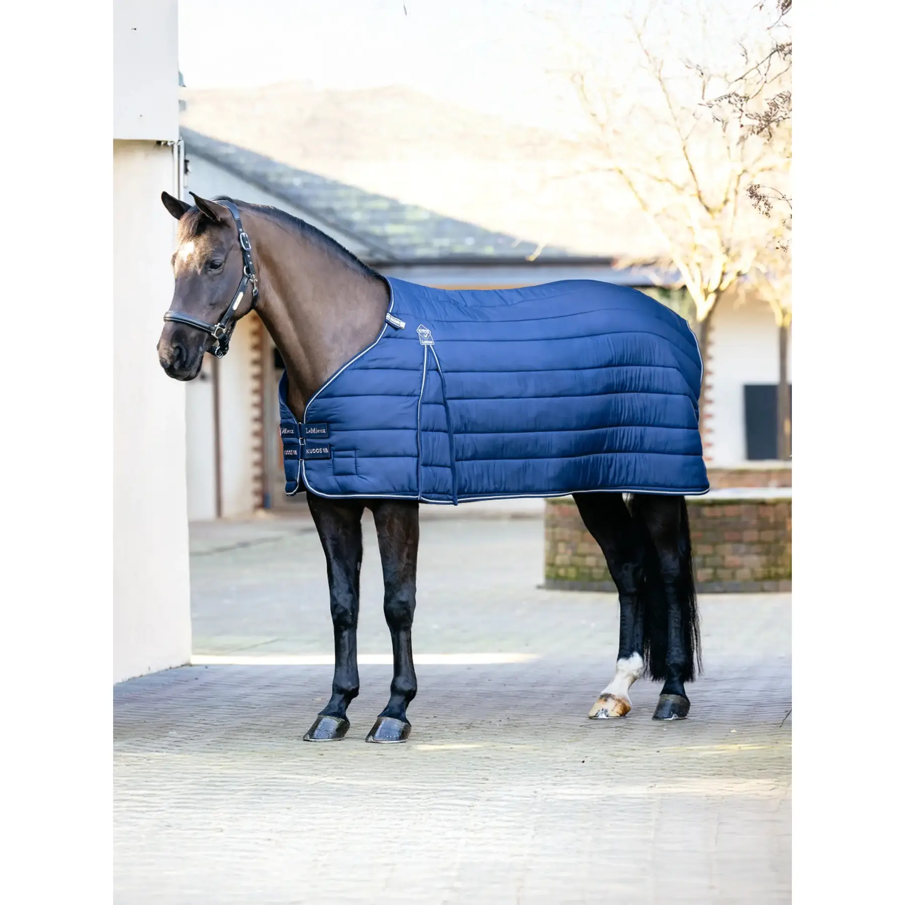 Sottocoperta per cavalli LeMieux Kudos 100g