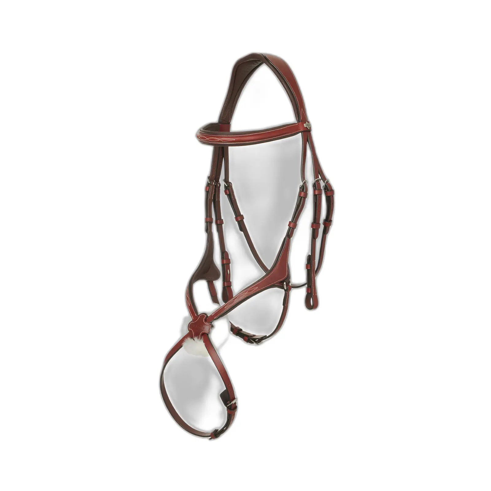 Lemieux Marron Bridles Kudos Grackle
