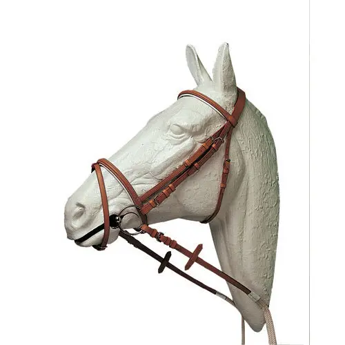 Bridon équitation muserolle combinée Lexhis
