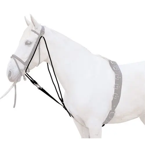 Gogue pour cheval Lexhis