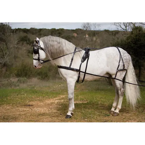 Harnais d'attélage cheval Lexhis Kiel