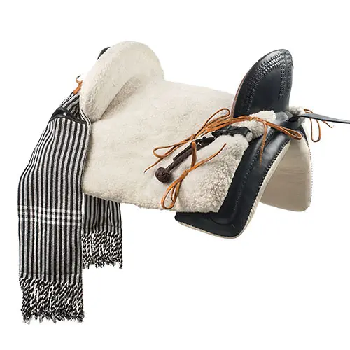 Comparer les prix de Équipement de selle complet Lexhis Alamar