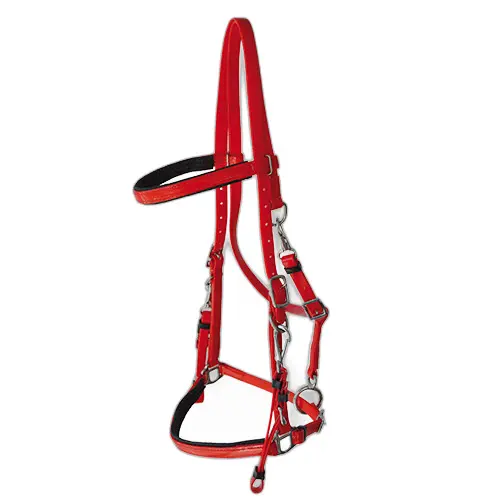 Licol pour cheval Lexhis Biothane