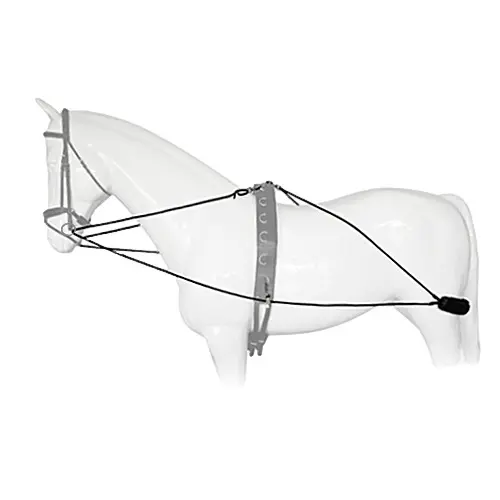 Meilleurs prix pour Enrênement Pessoa Lexhis