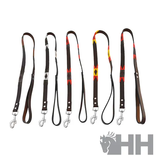 Meilleurs prix pour Laisse pour chien Lexhis Navajo